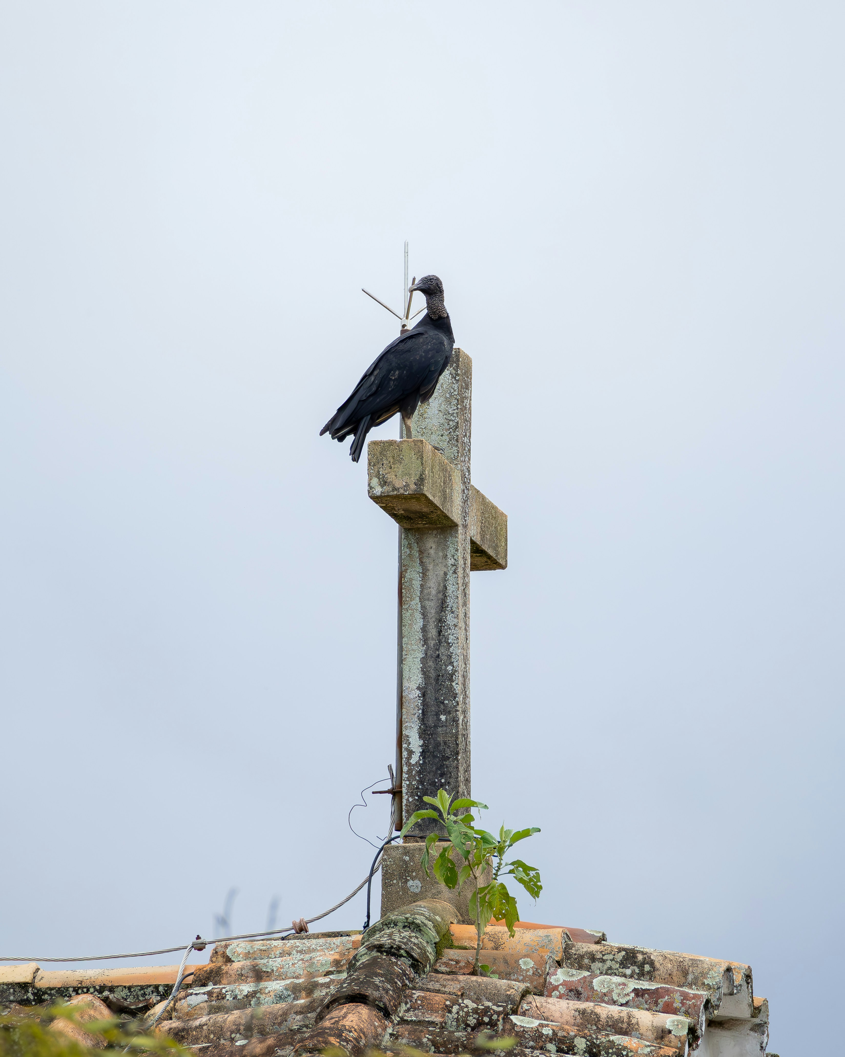 Photo by matheuskprot