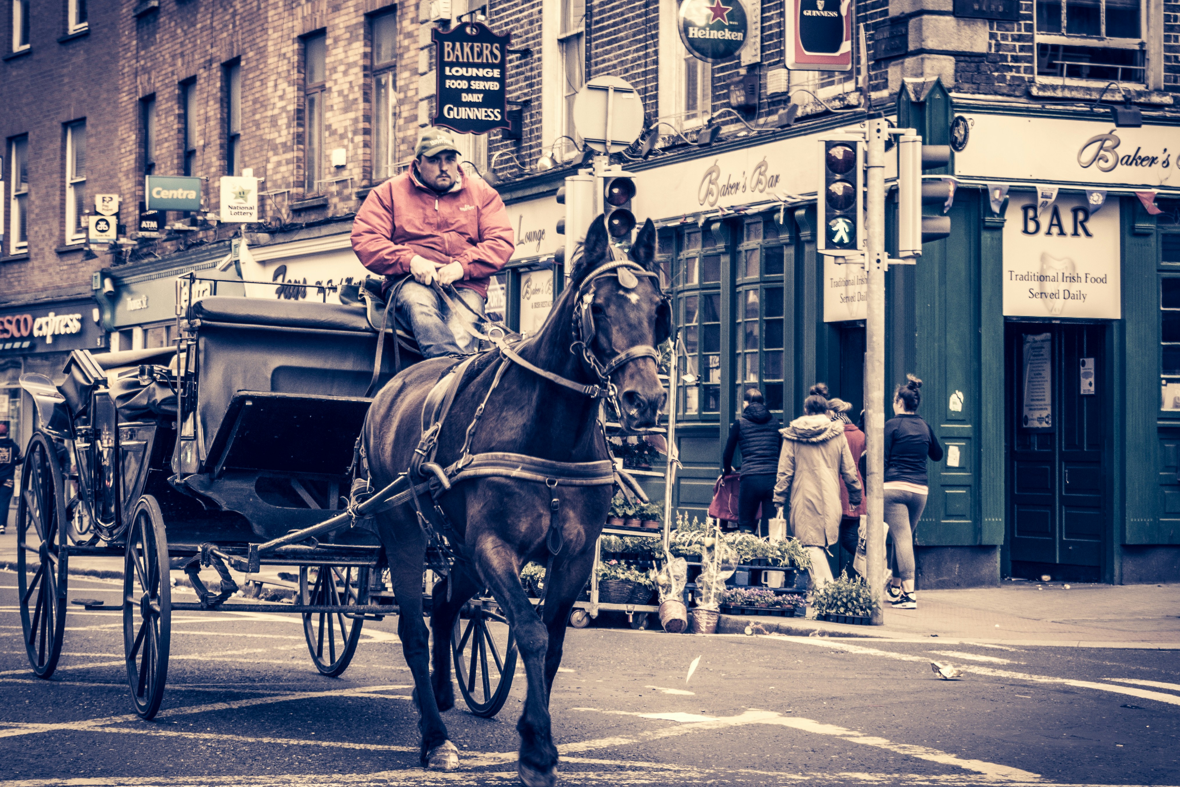 Carruaje tirado por caballos en una calle de la ciudad