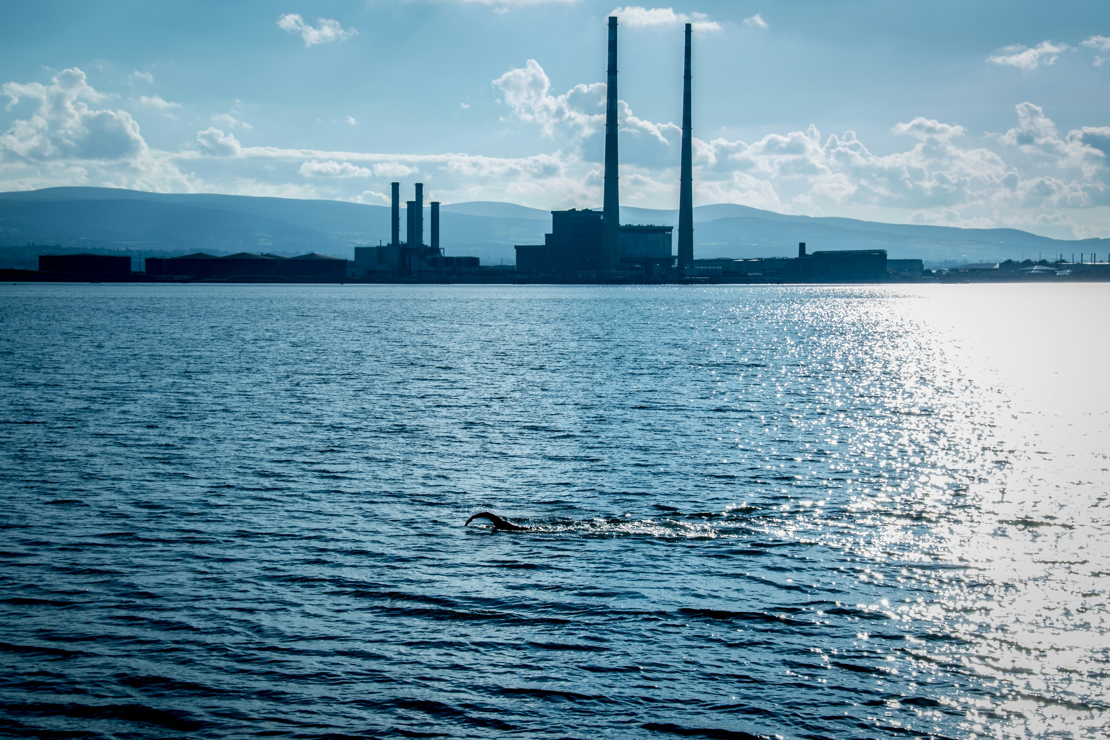 Local Gym Trends in 2026: Adapting to Post-Pandemic Realities