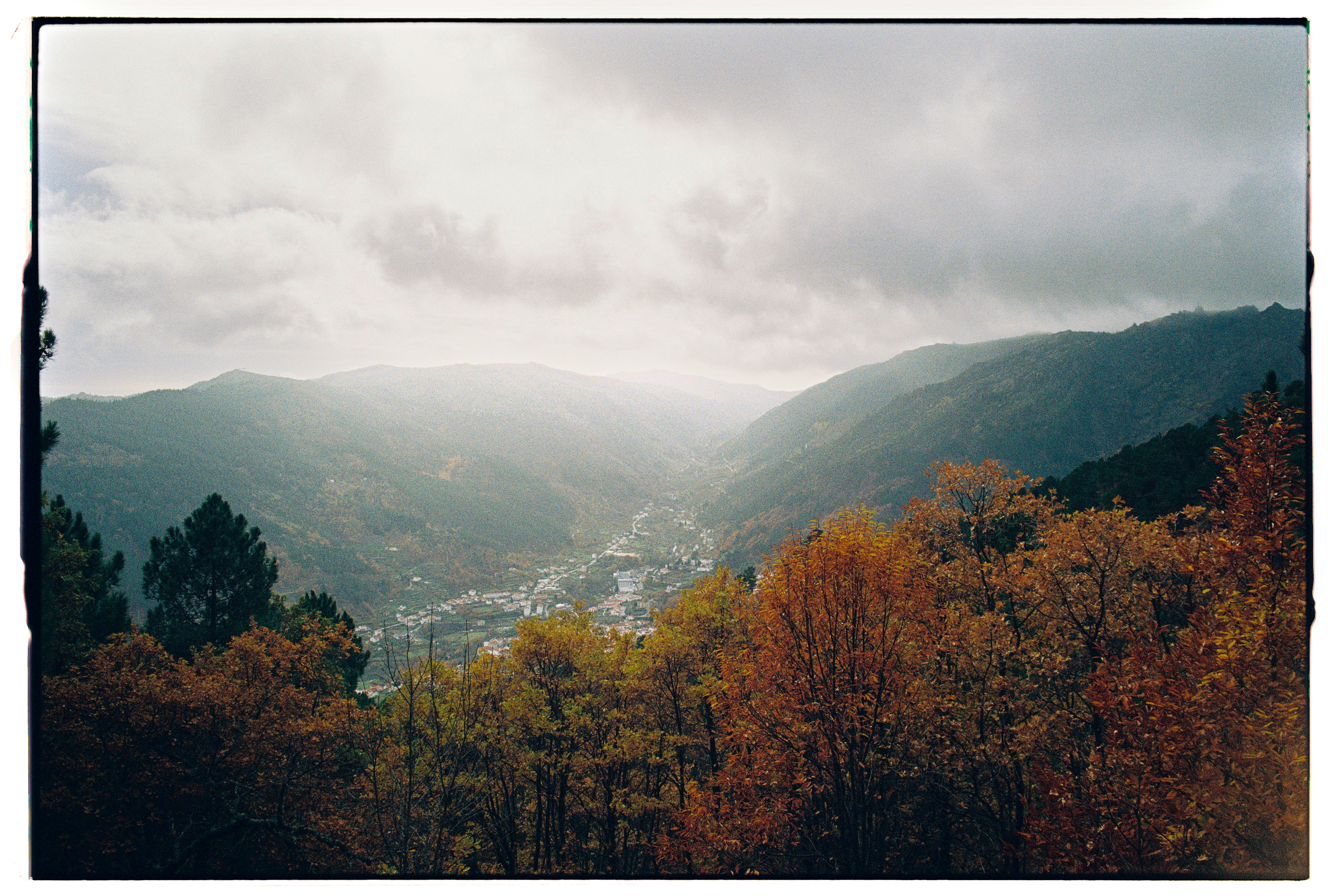 Photo by enfocuscollective