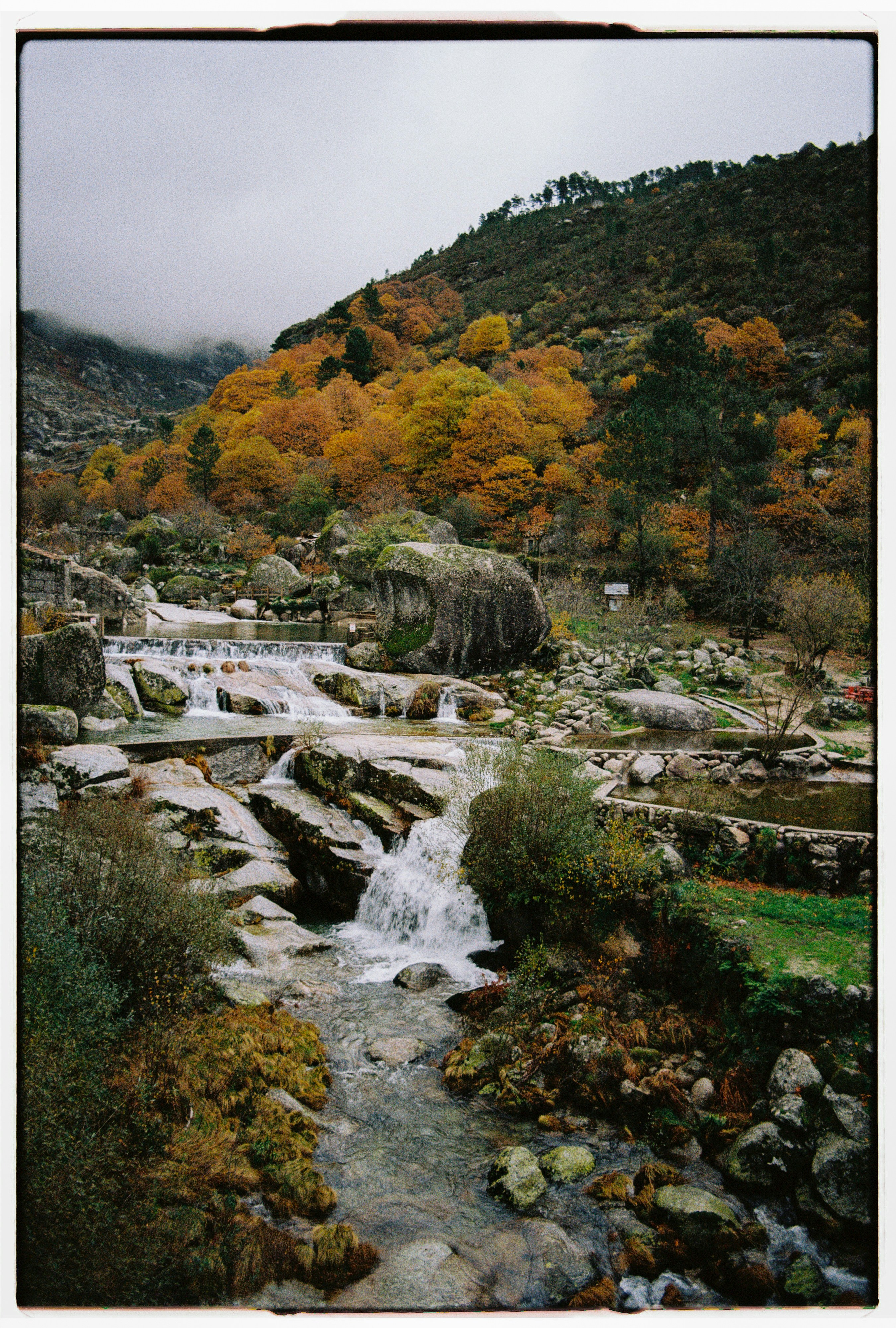 Autumn trees line a rocky stream with waterfalls. photo – Free Forest ...