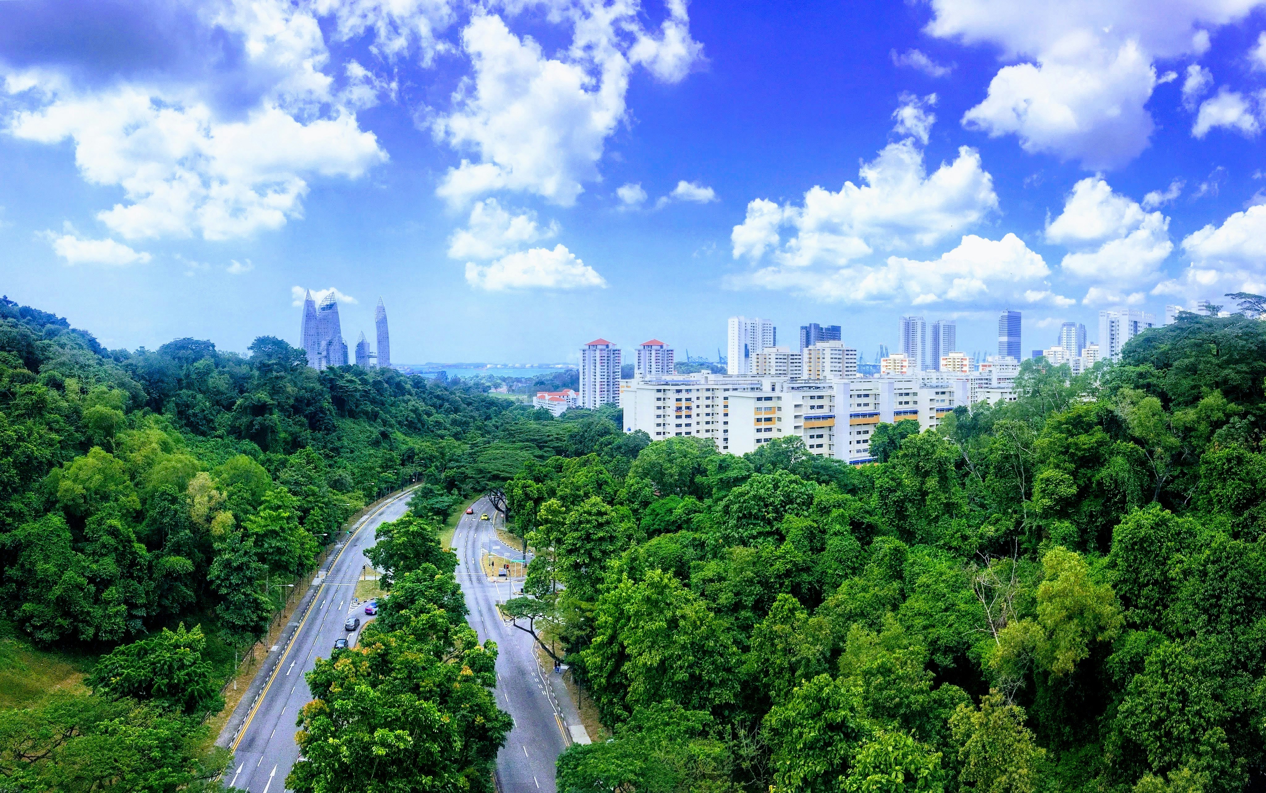 Photo by sergei_gussev