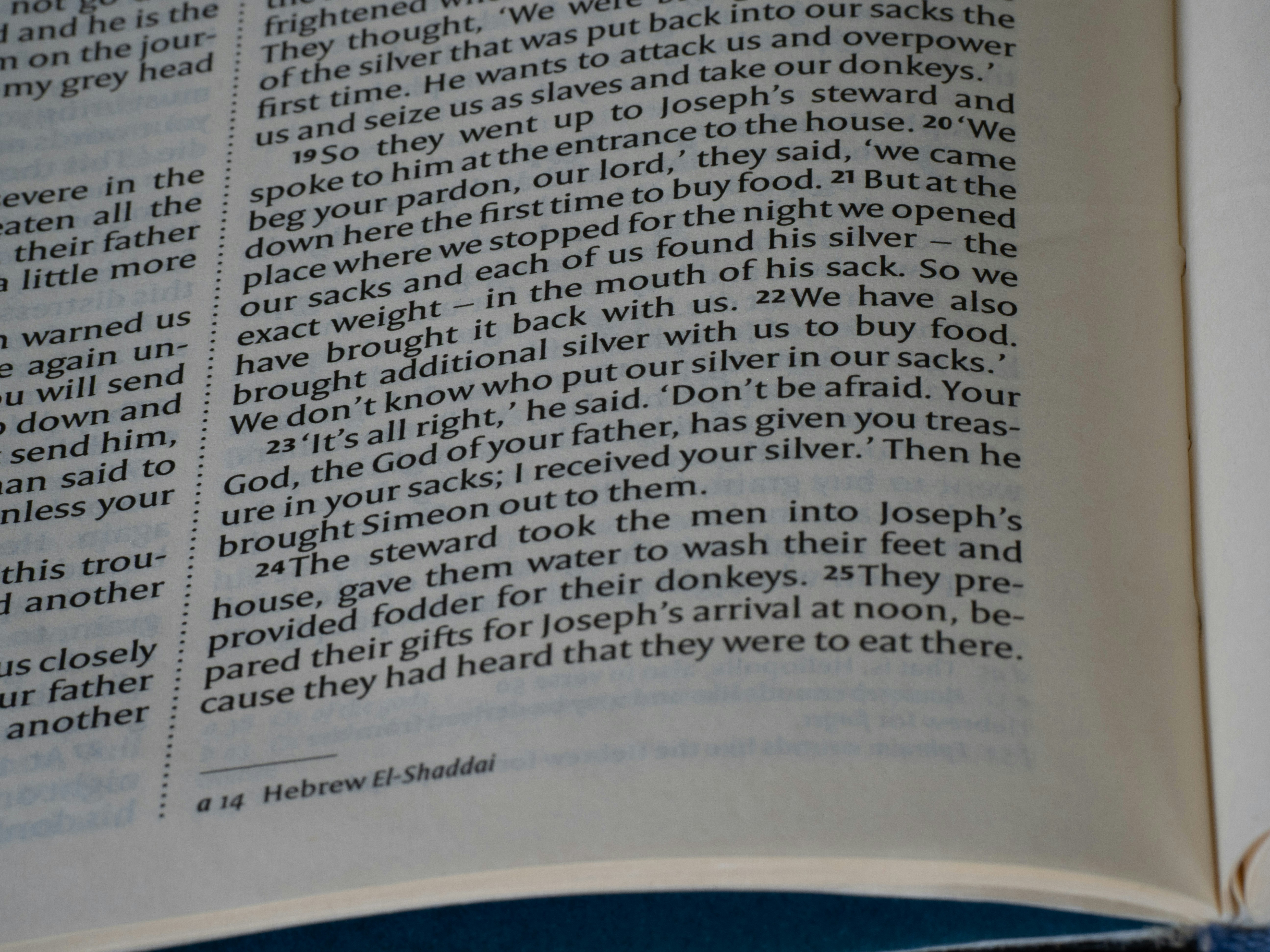Close-up of bible pages with text.