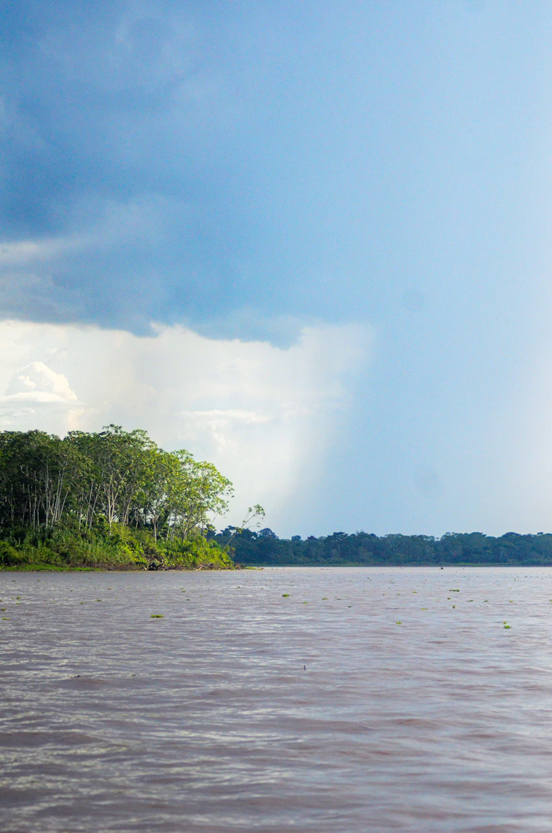 Amazon jungle river
