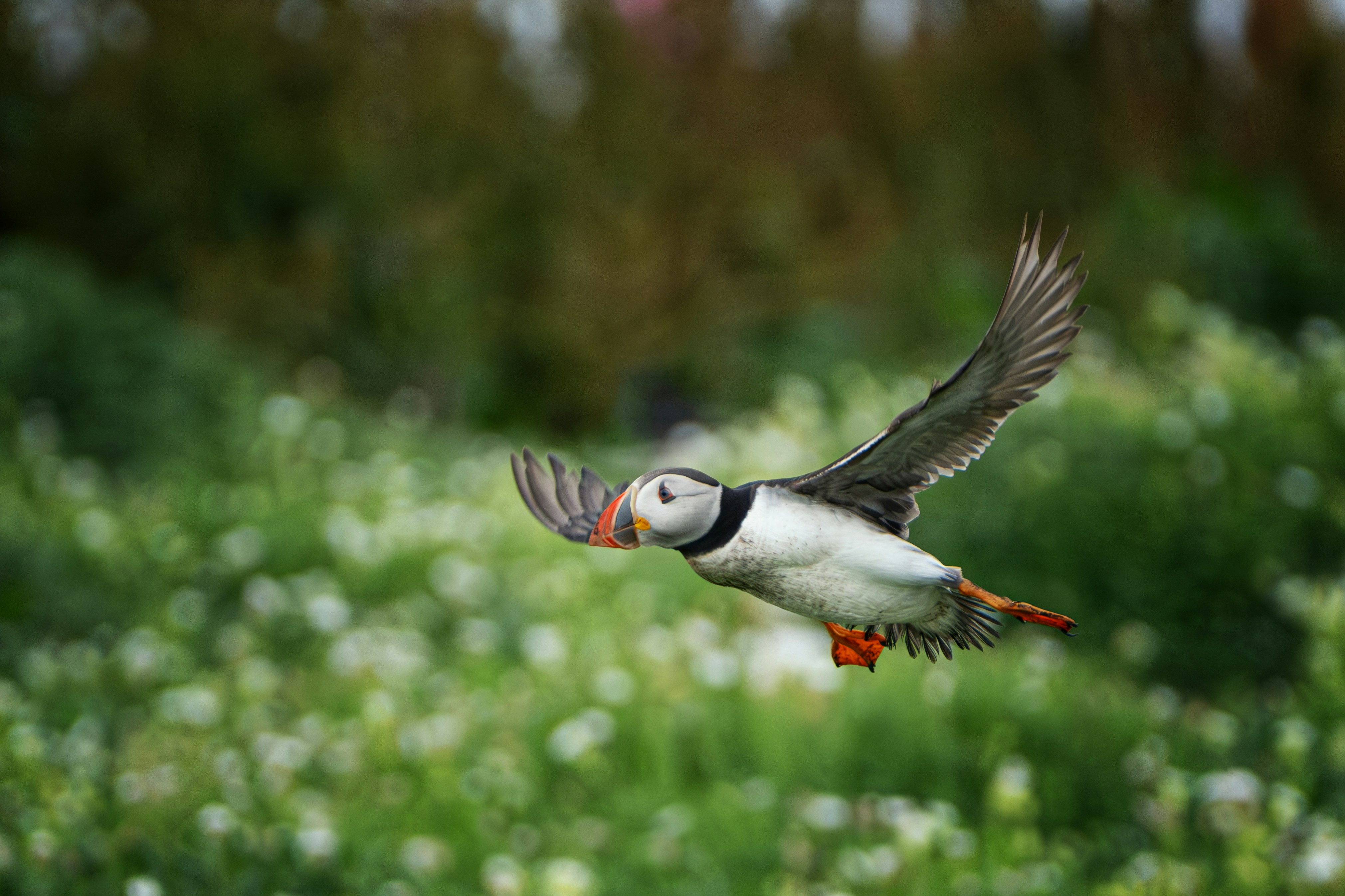 Photo by philrobson100