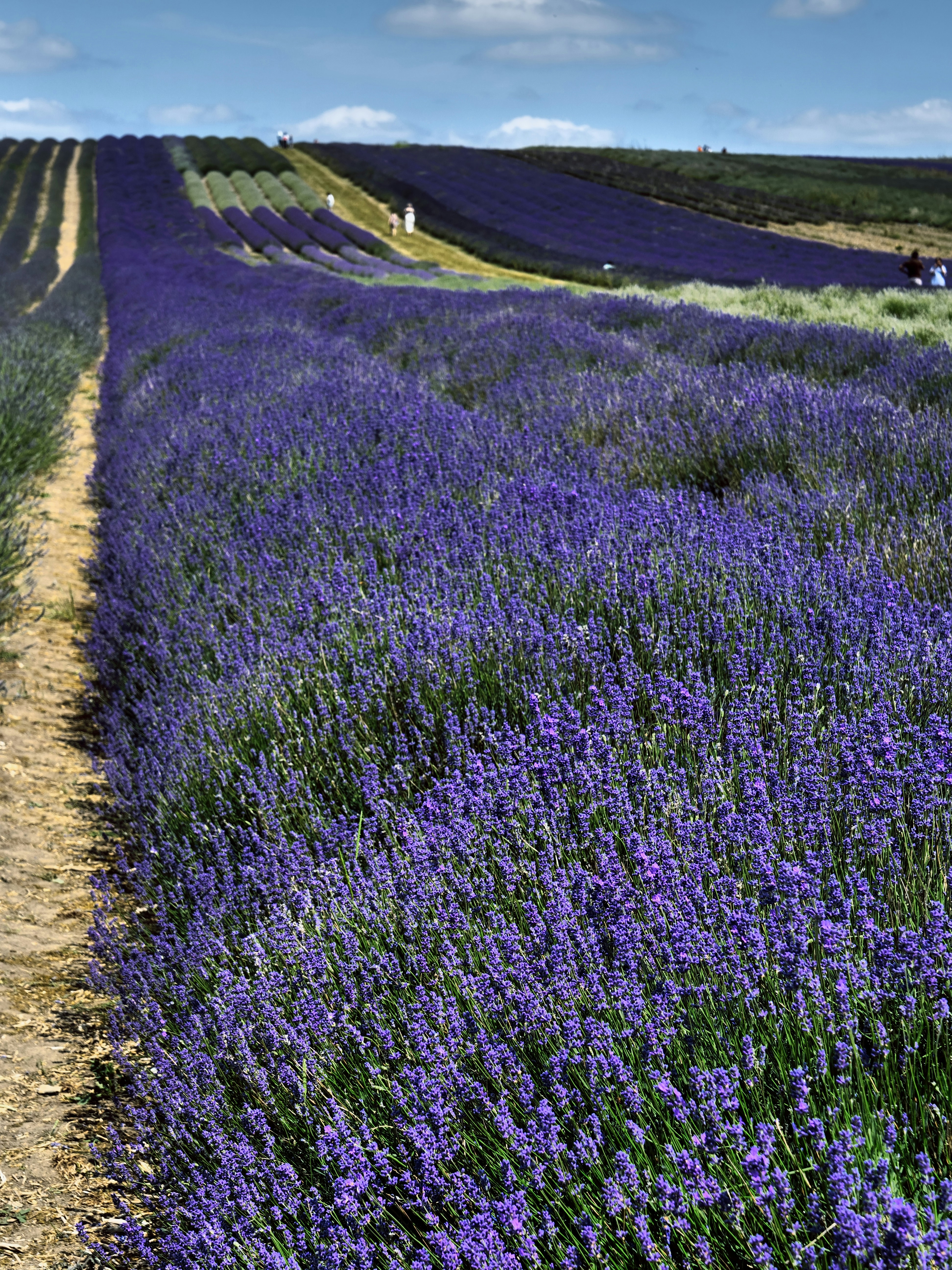 Photo by balmy_sunset