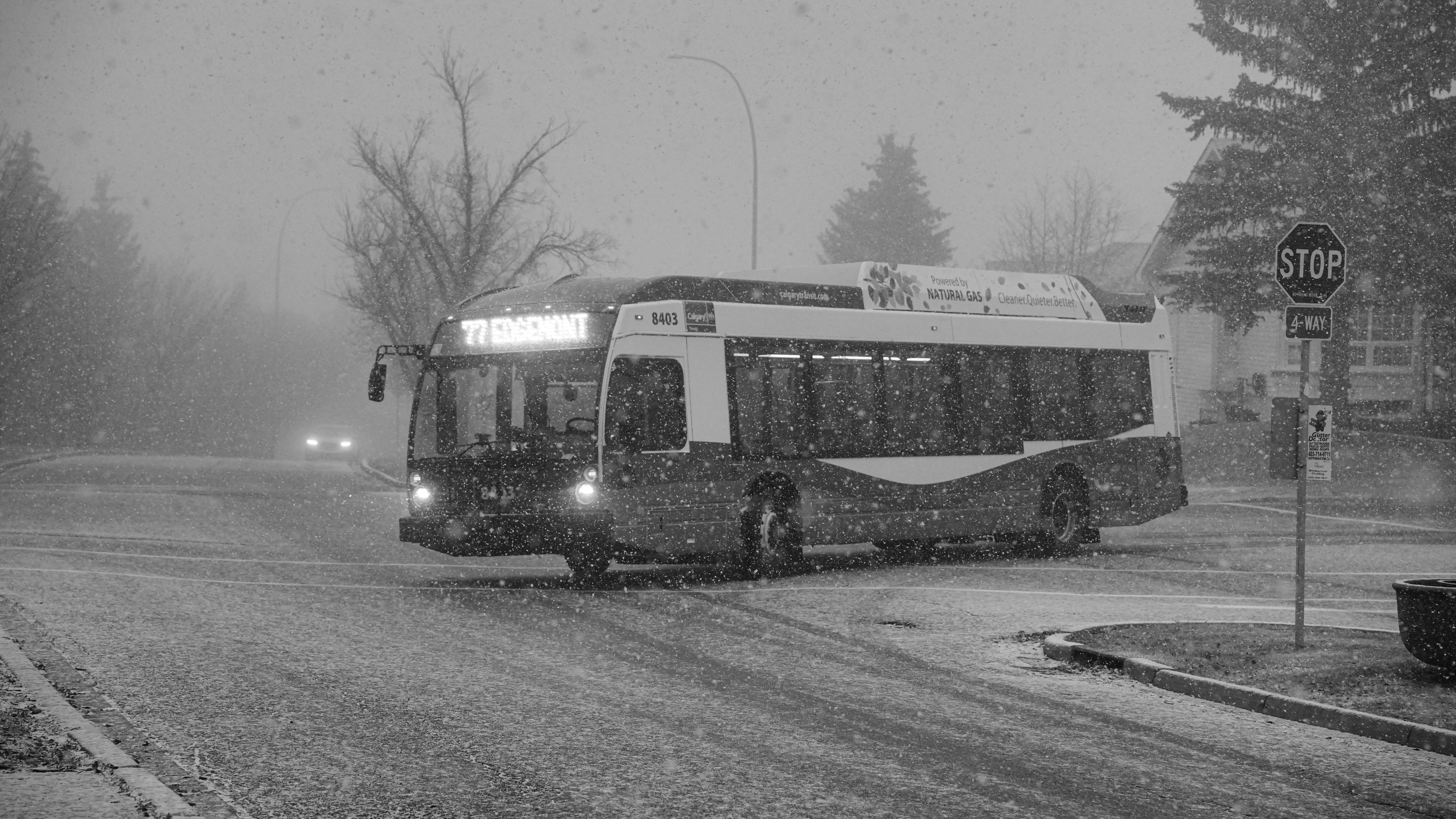 A bus drives through heavy snowfall on a street.