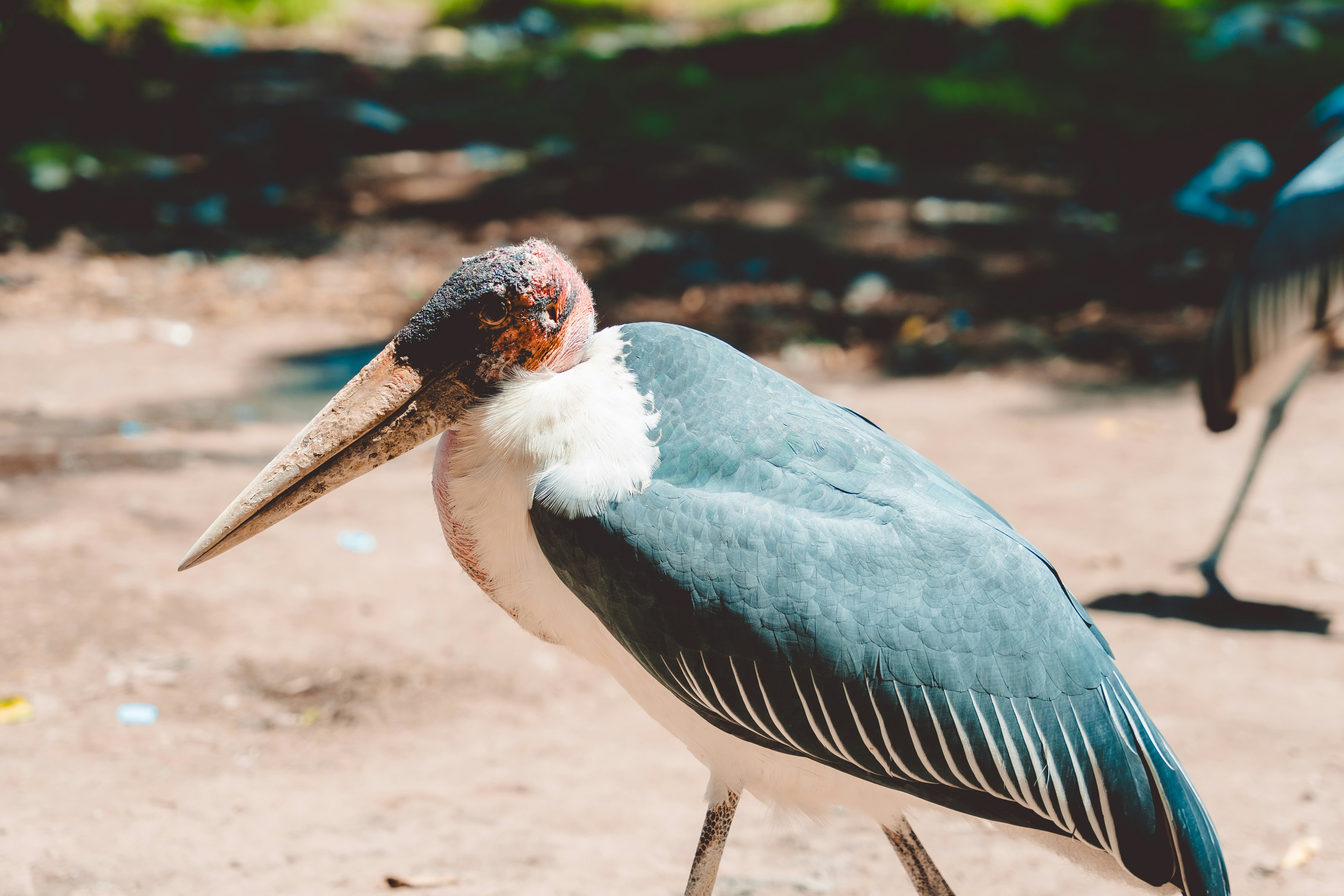 Photo by bemnetmesfin