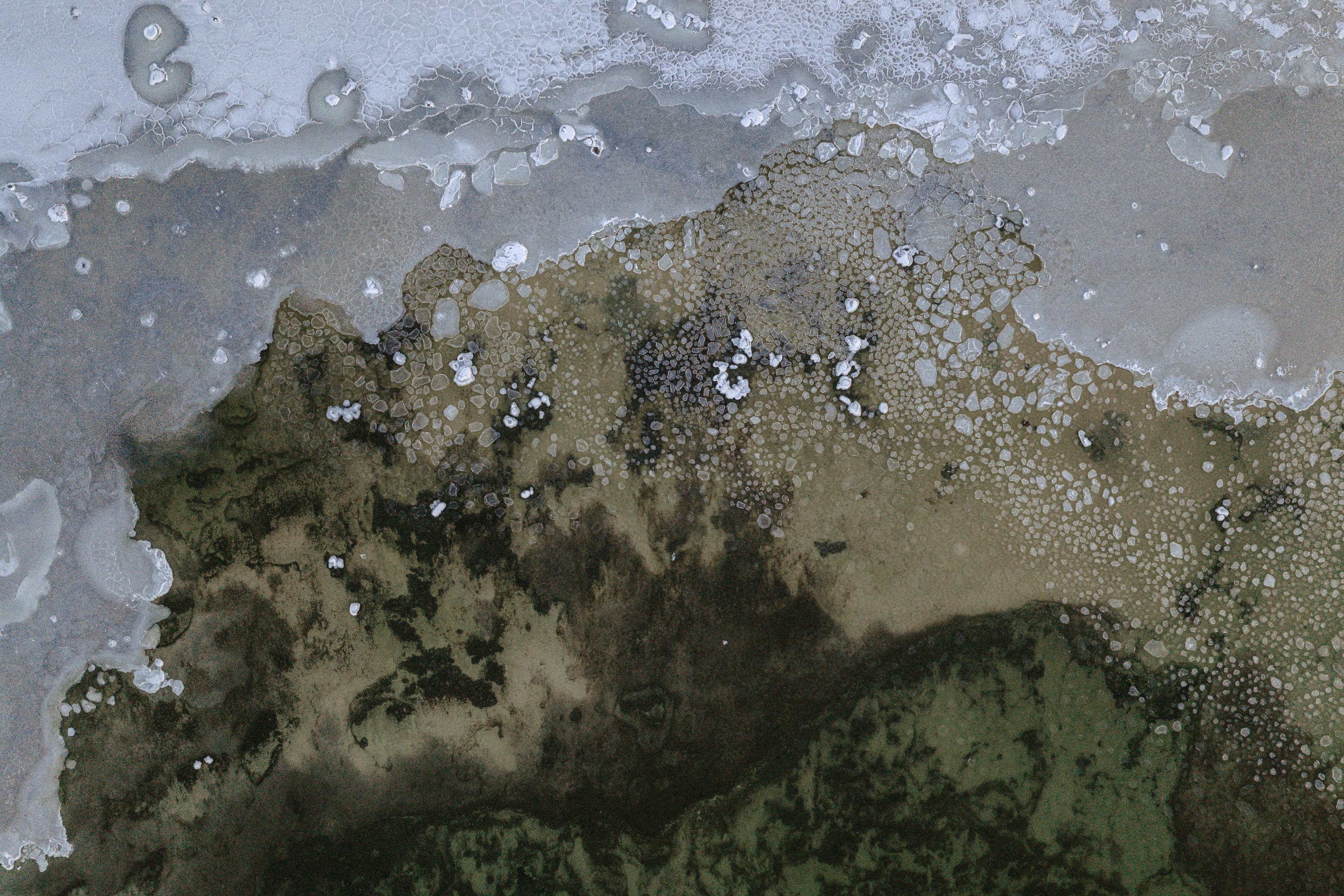 Aerial view of a colony of penguins on icy terrain.
