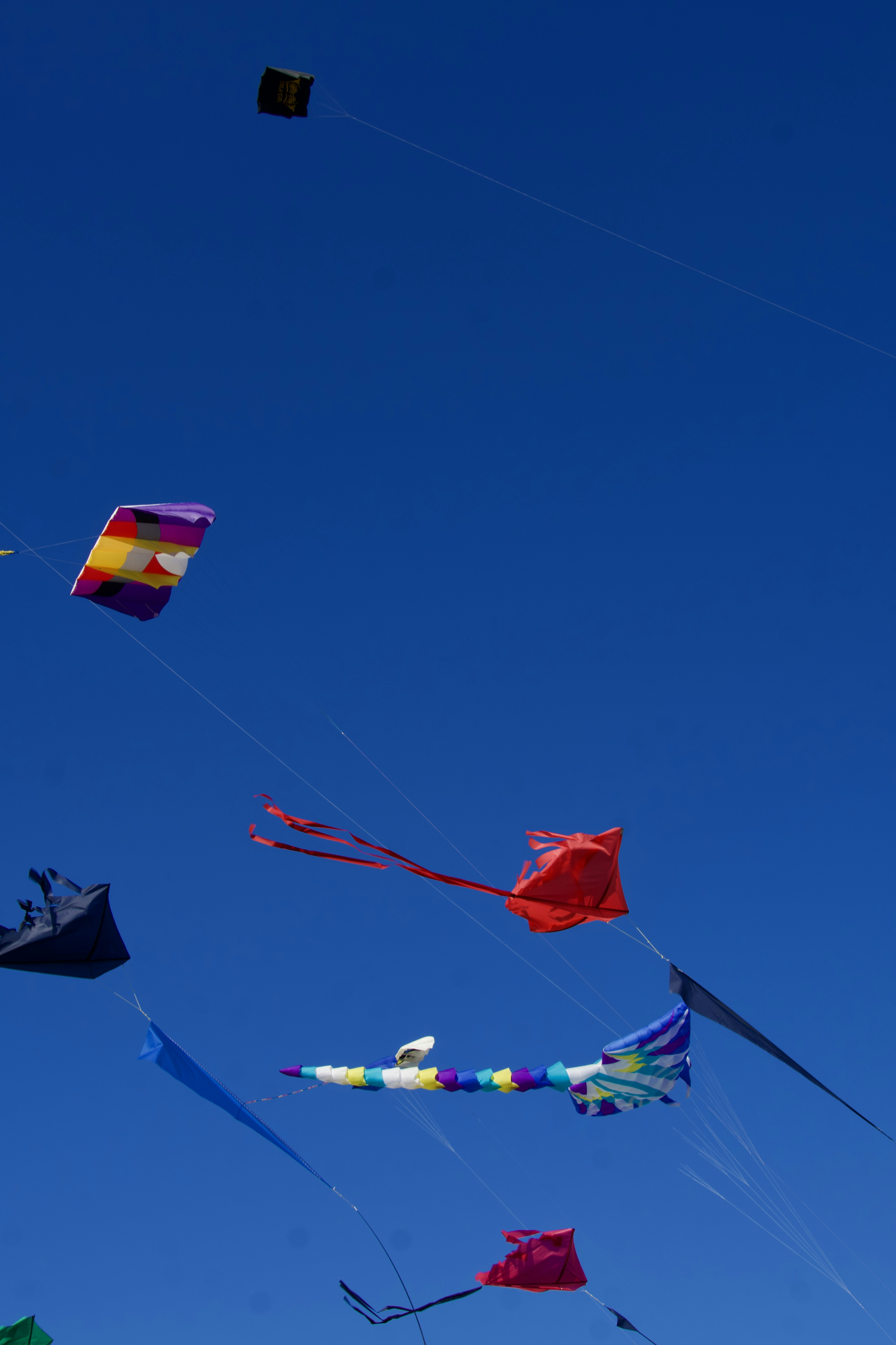 Photo by quang_quang