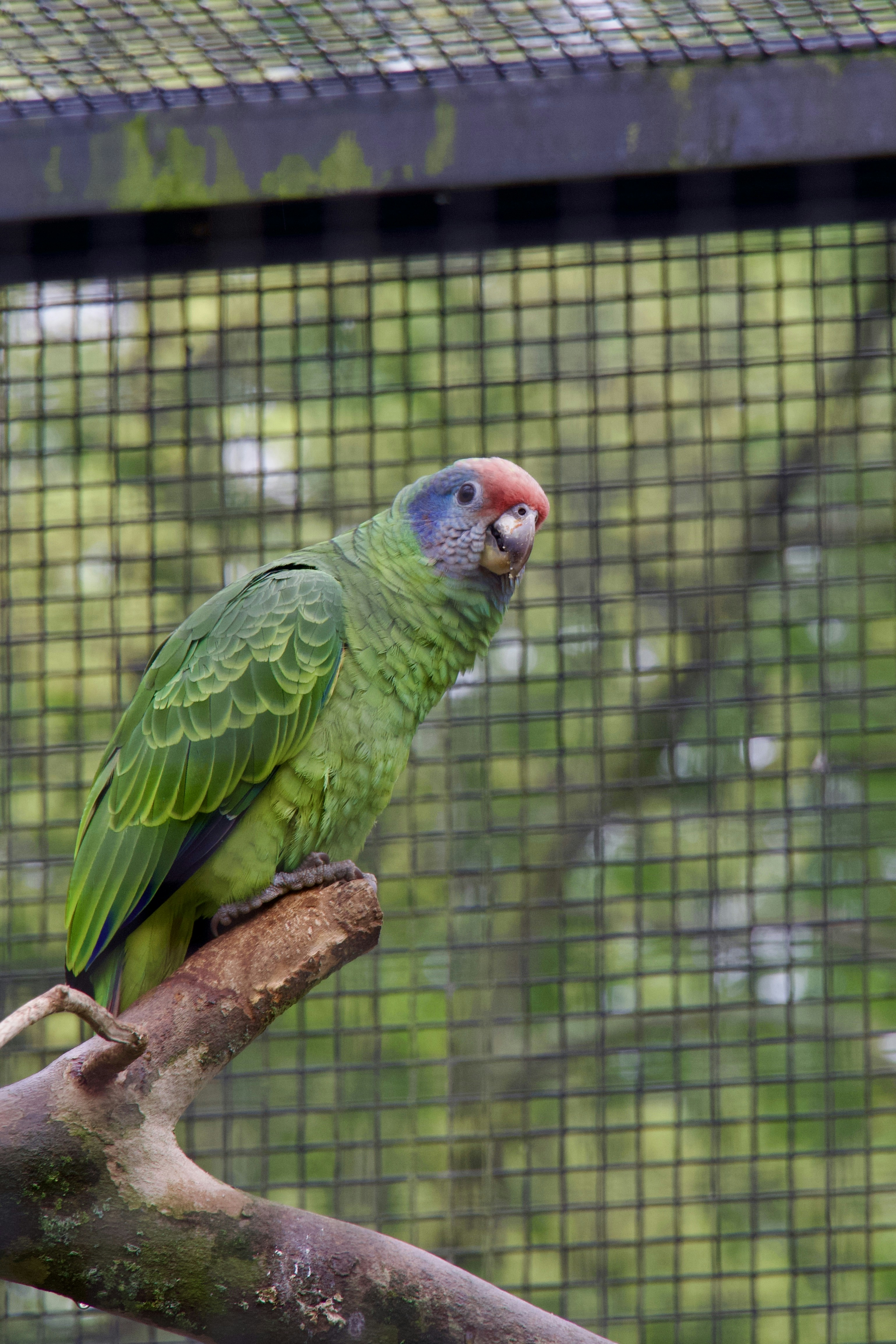 Photo by quang_quang