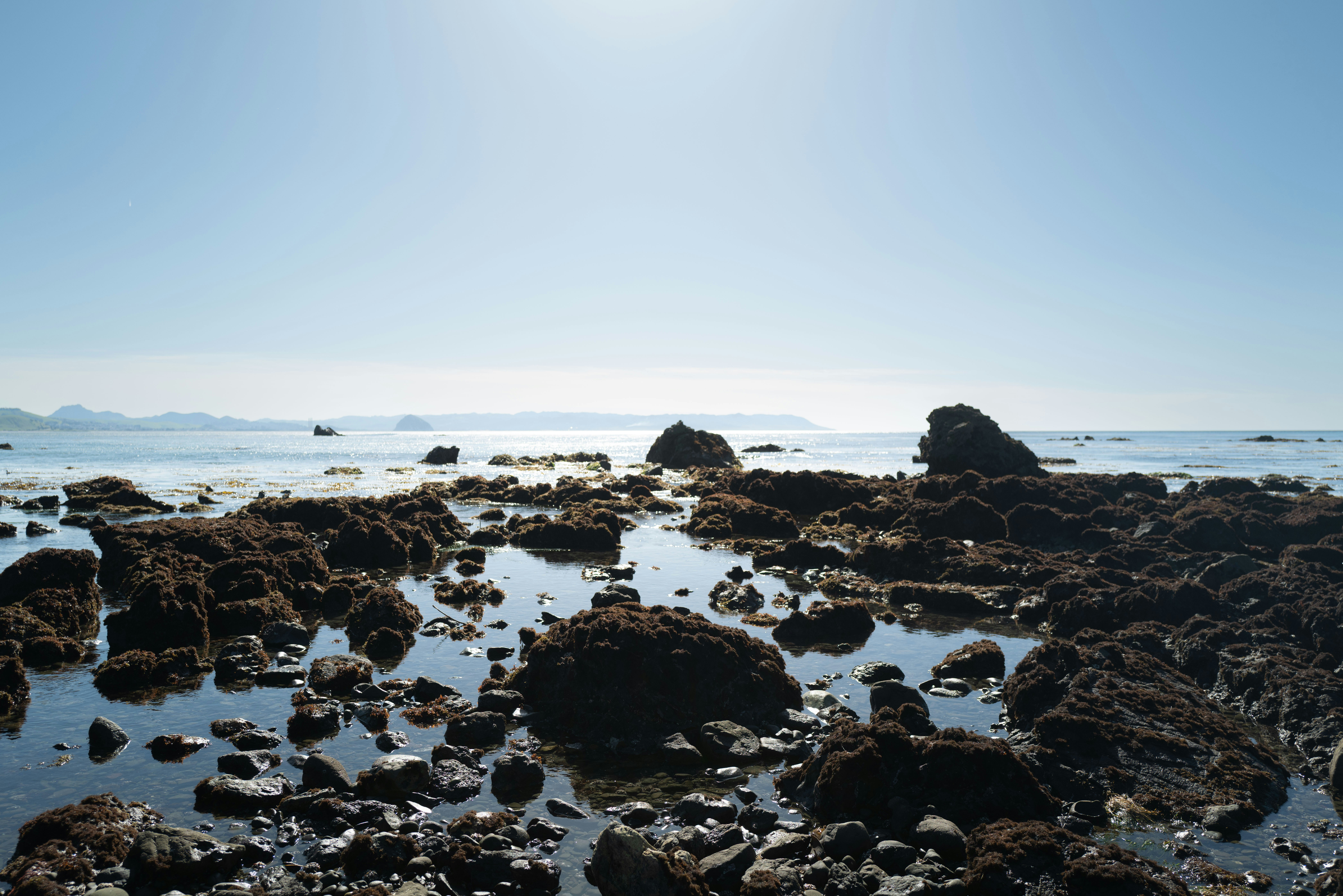 Photo by brian_thompson