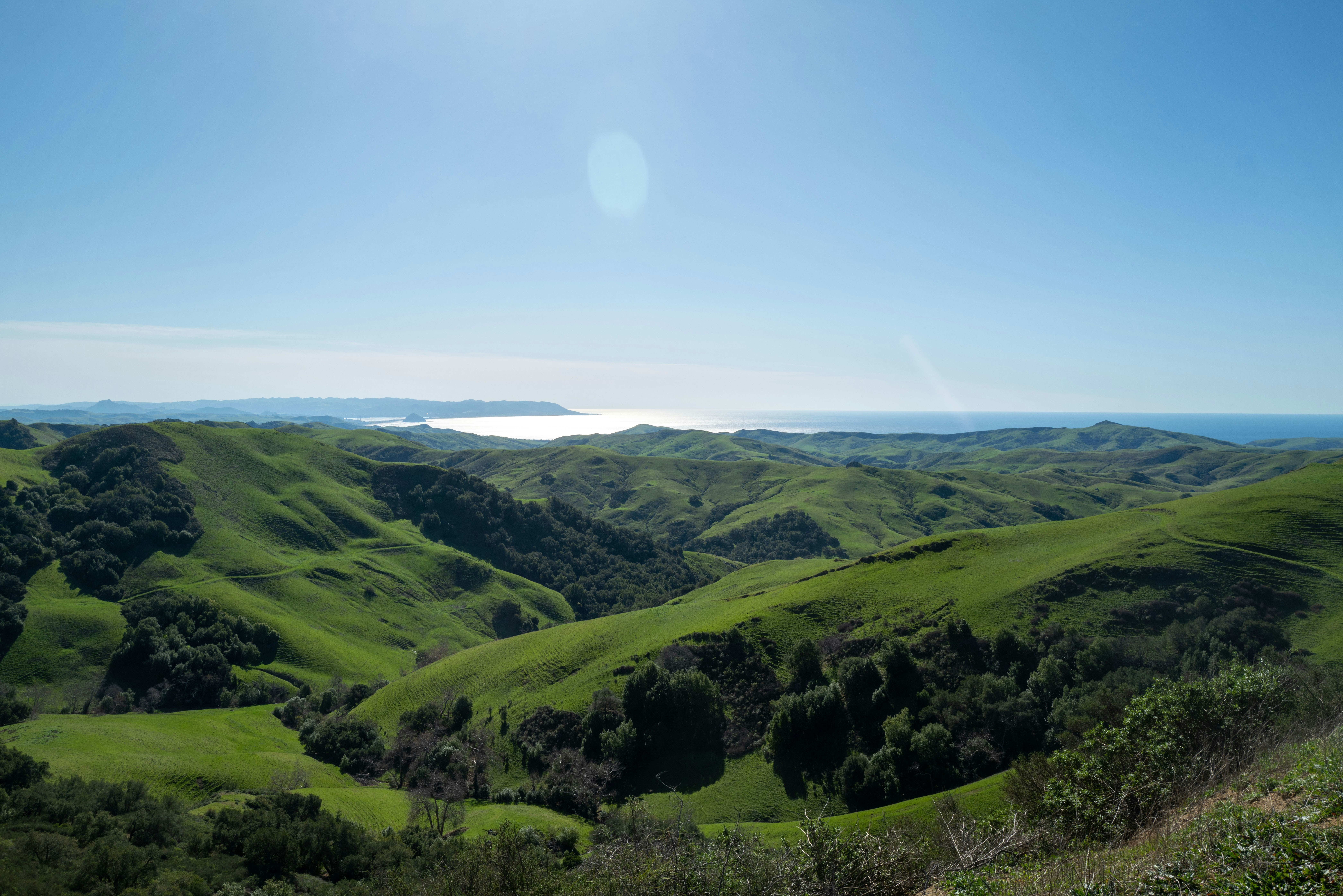 Photo by brian_thompson