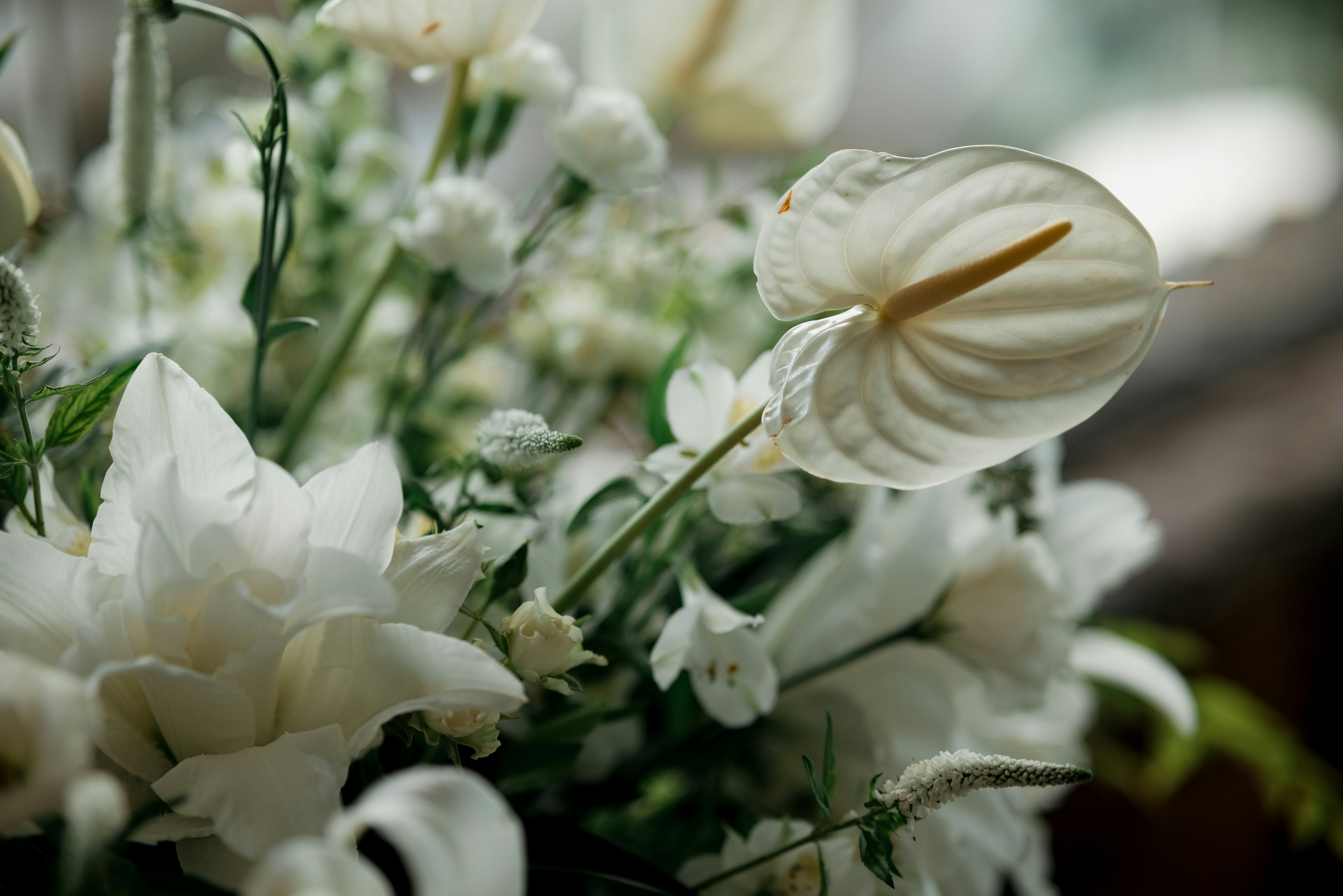 繊細な白い花のアレンジメントのクローズアップ。