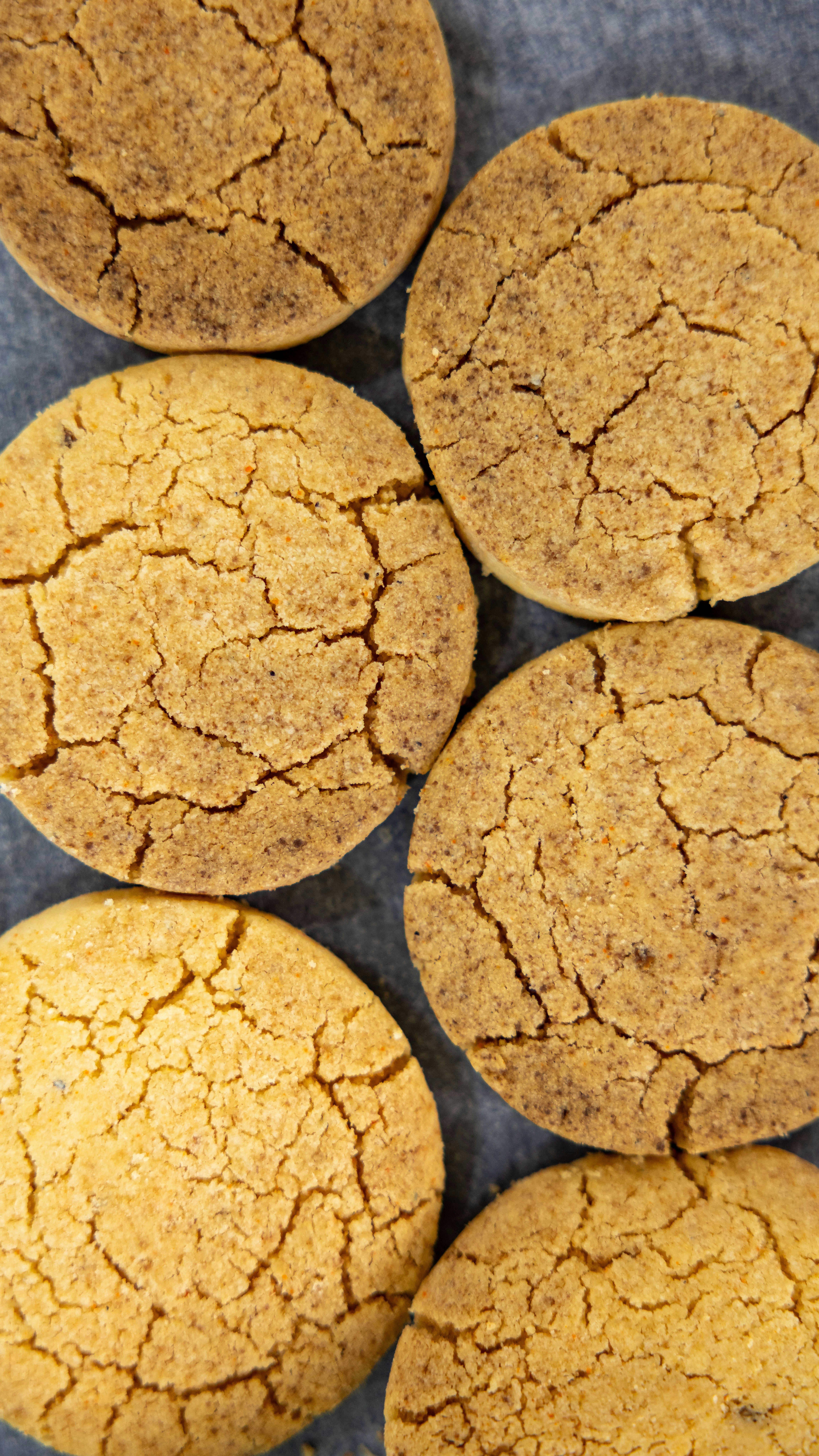 Photo by niharjreddy