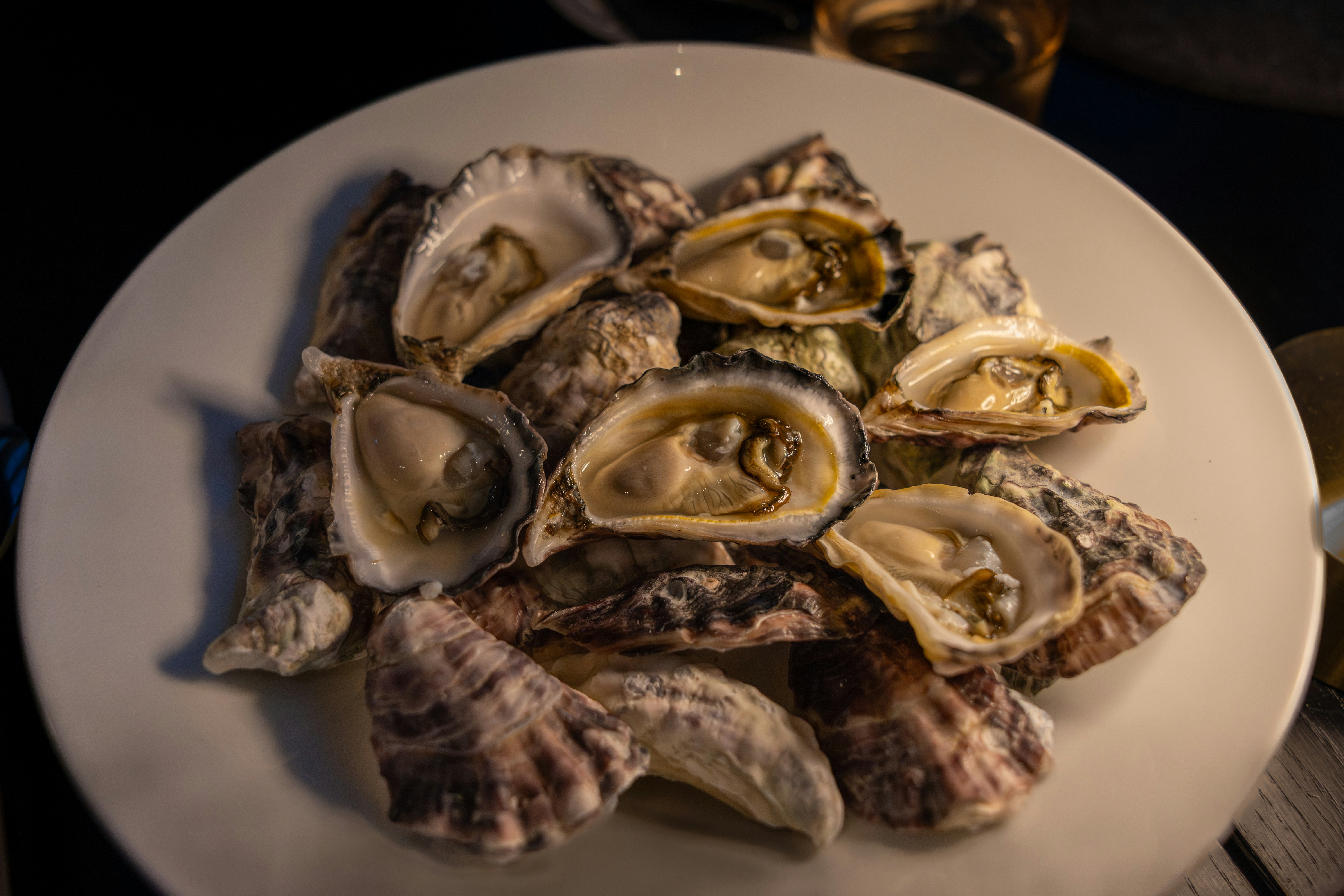A plate of fresh raw oysters on the half shell, showing how to eat oysters properly