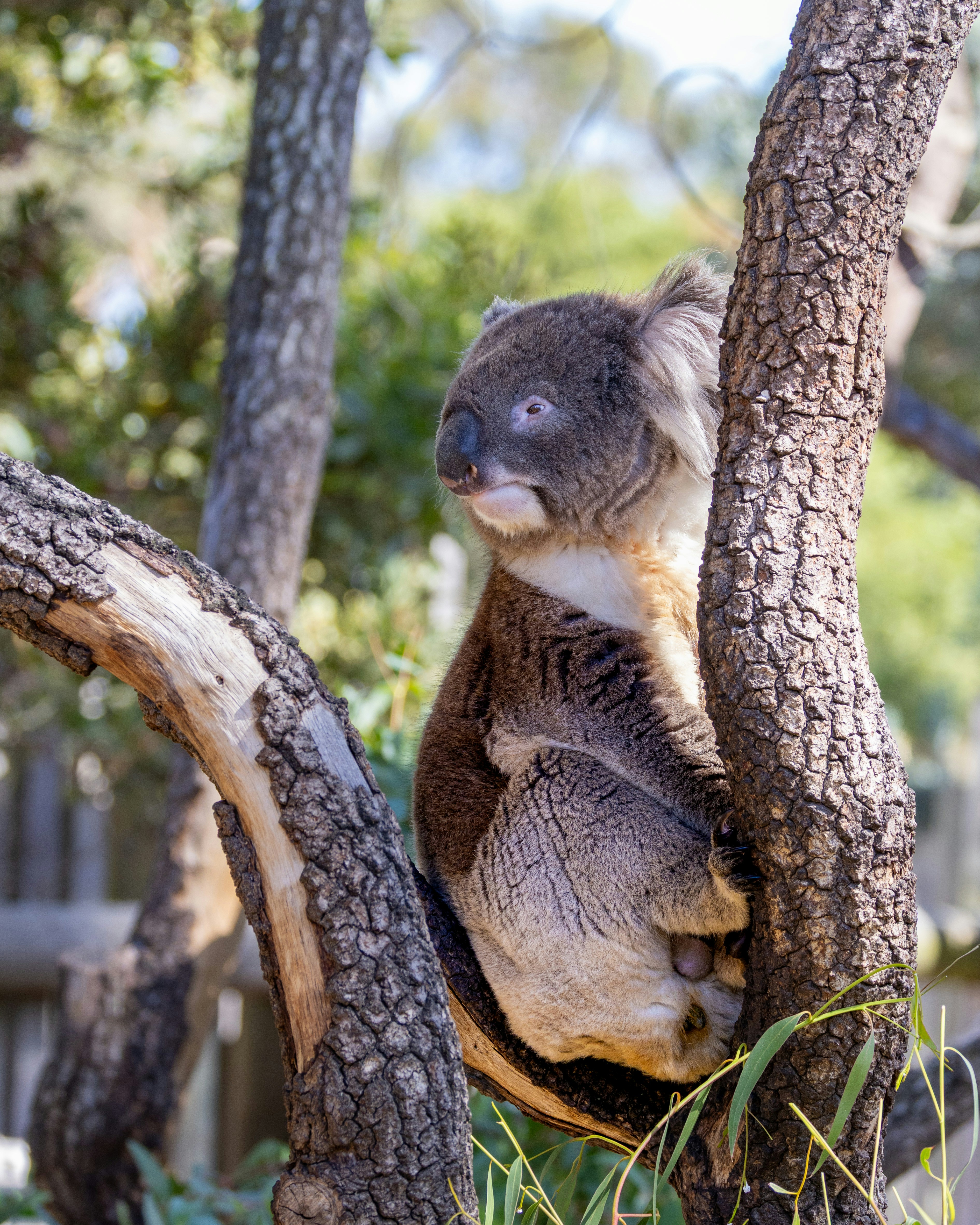 Photo by niharjreddy