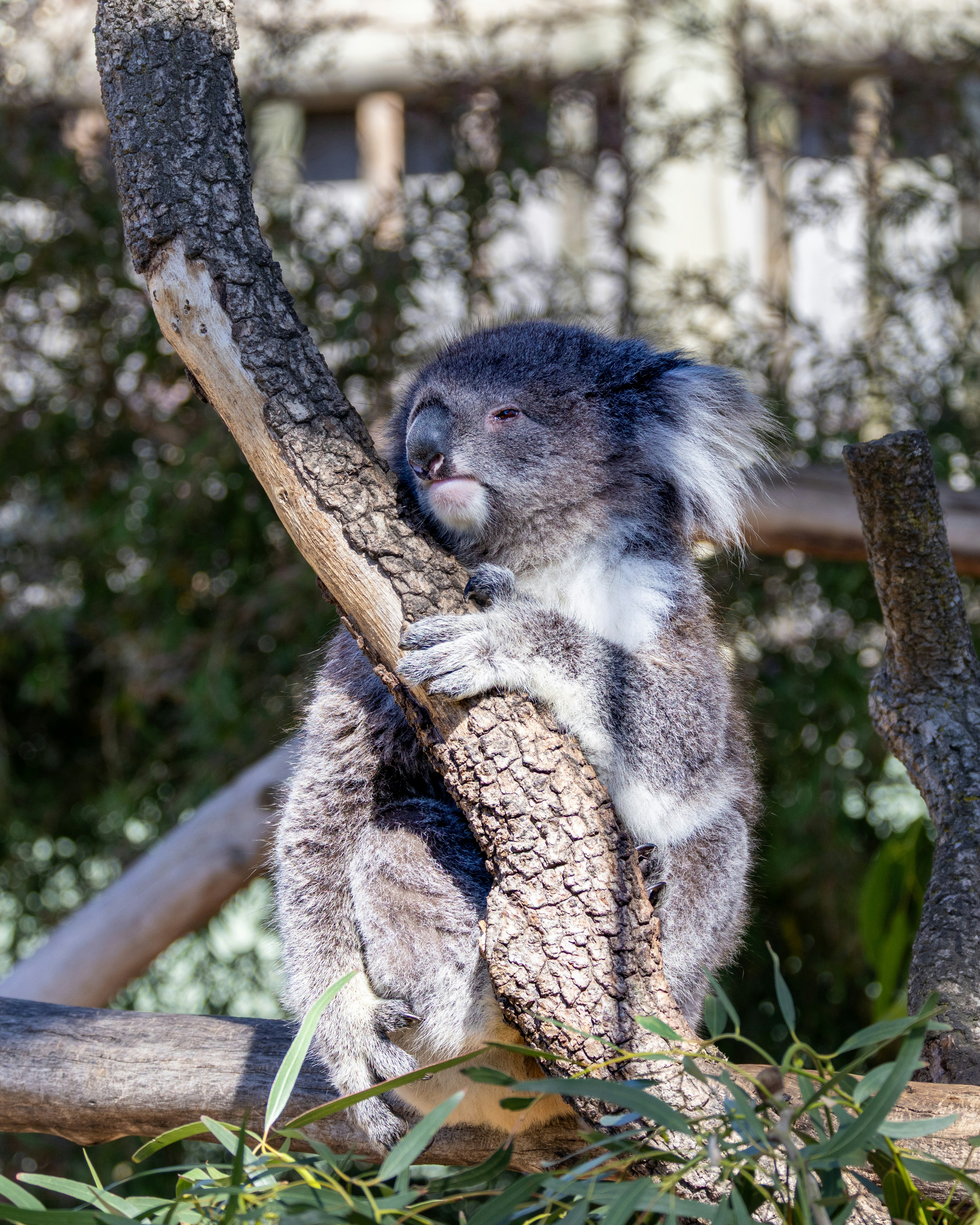 Photo by niharjreddy