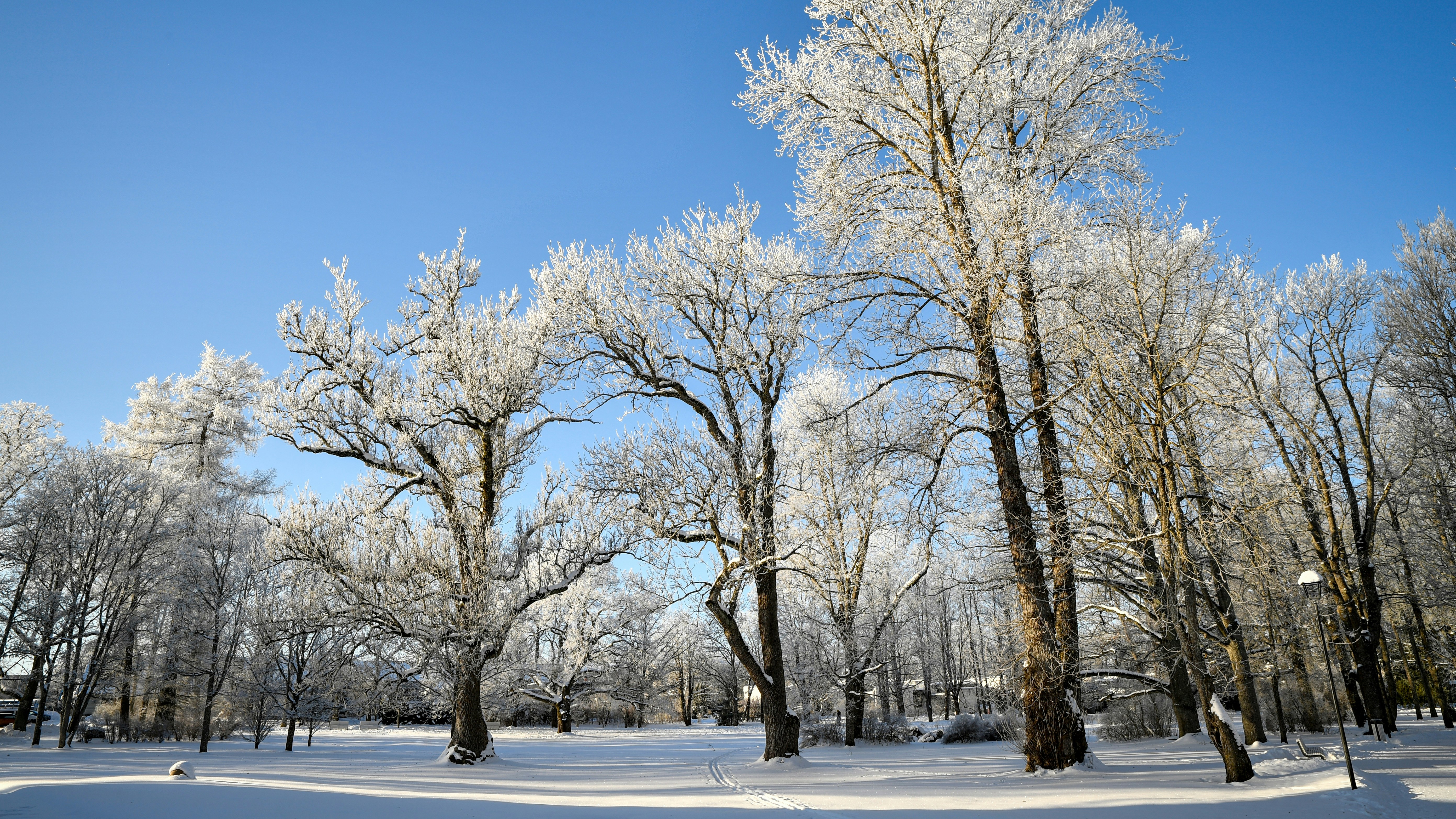 Photo by stadinstudio