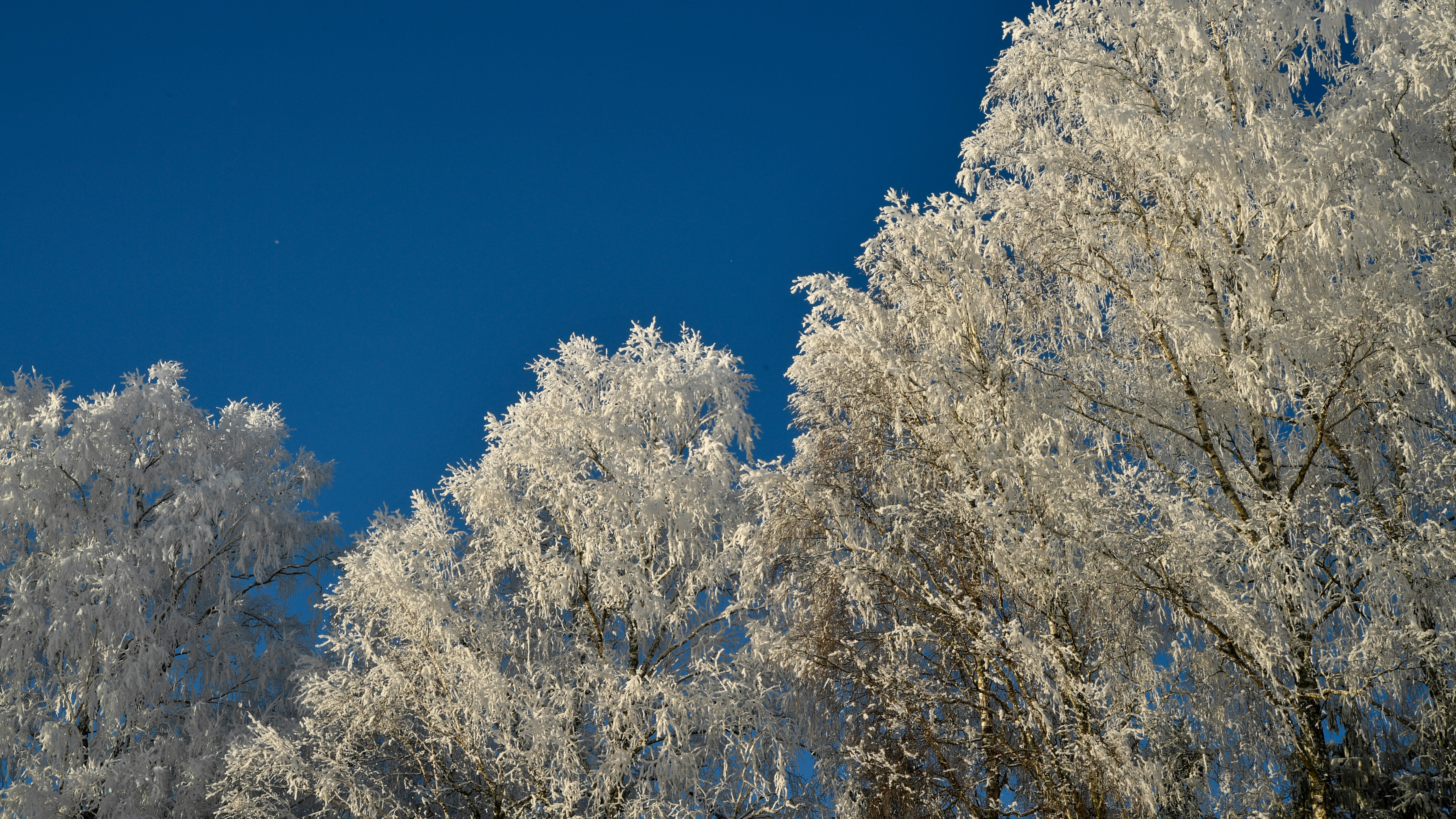 Photo by stadinstudio