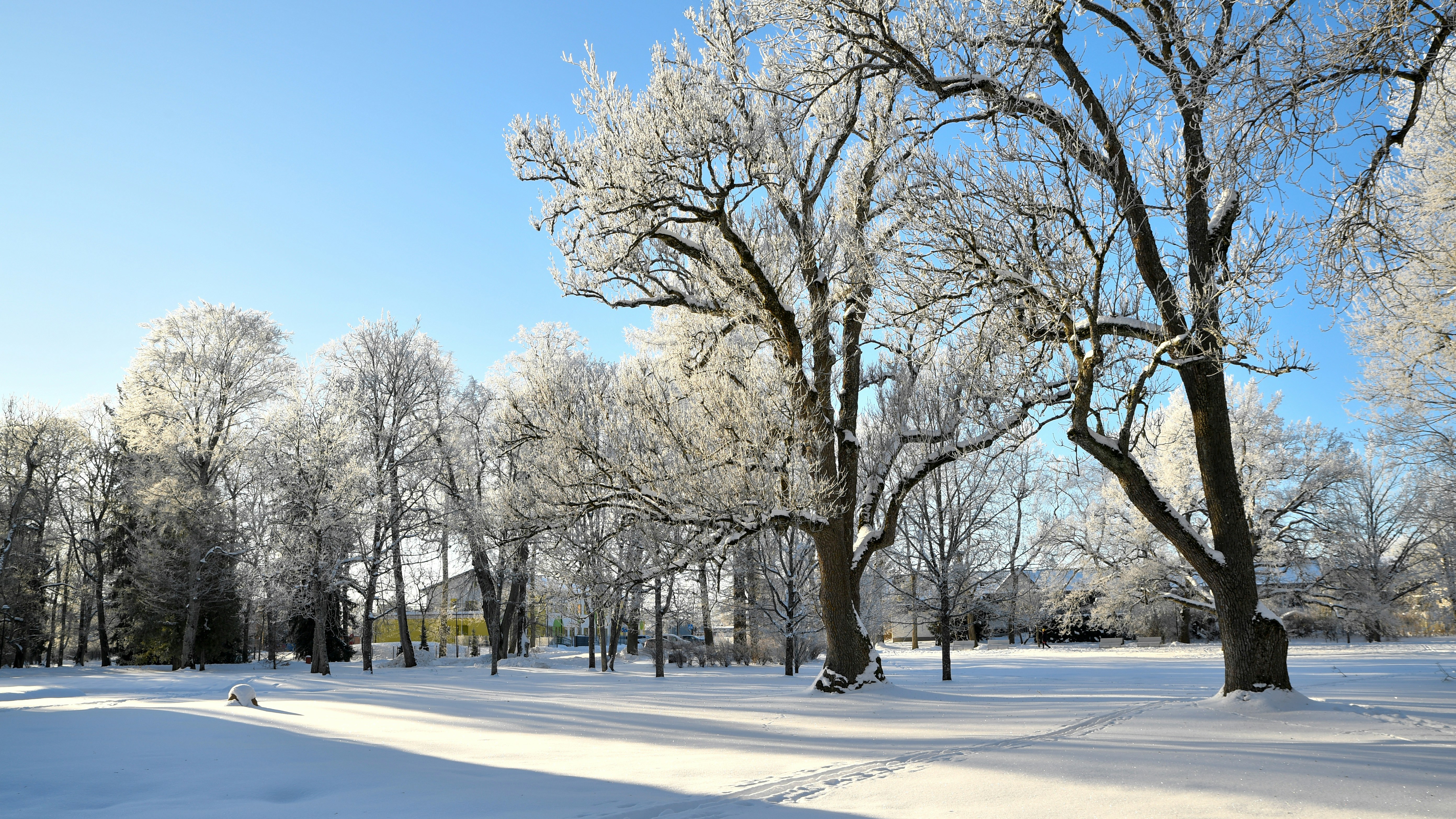 Photo by stadinstudio