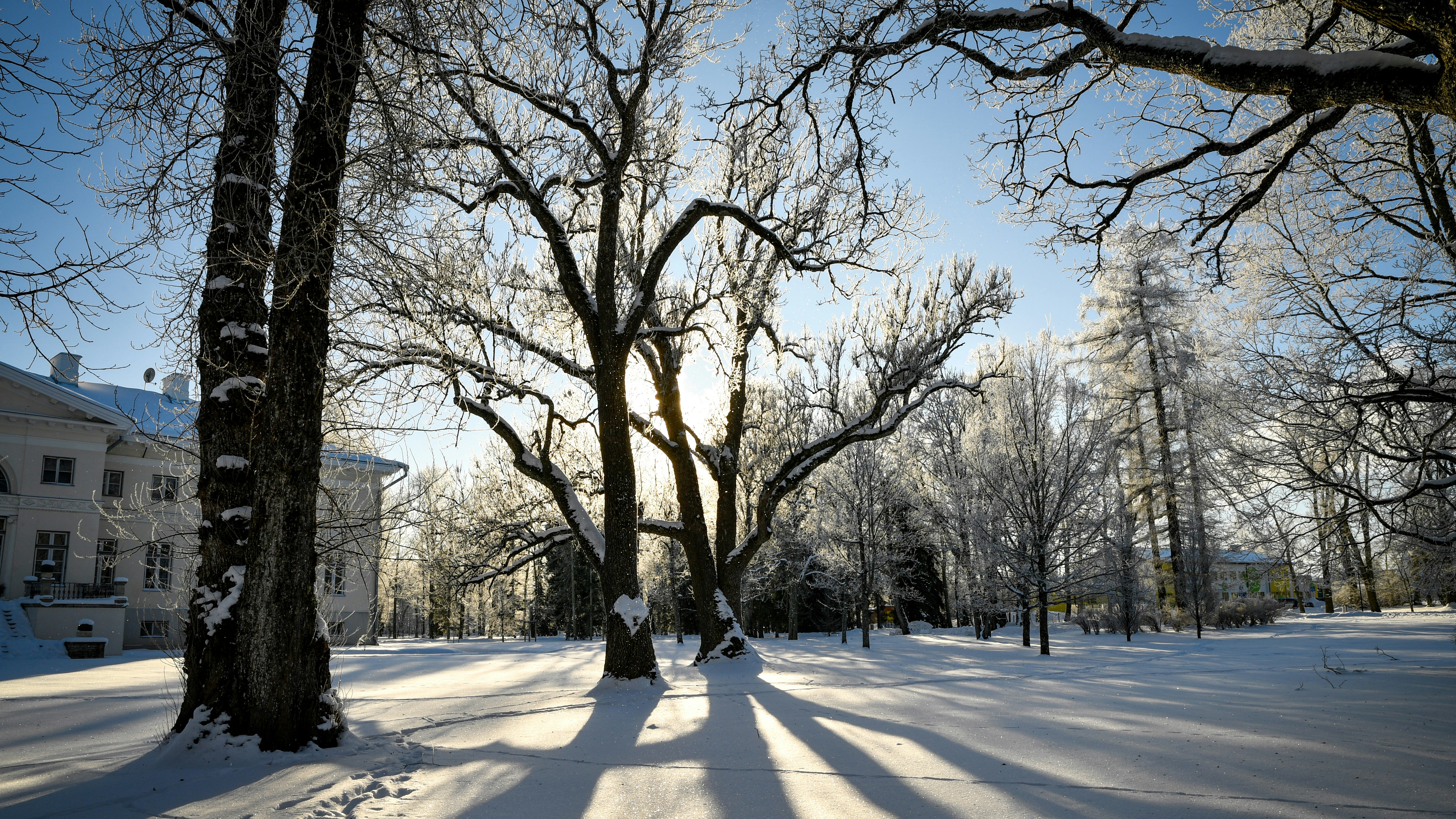 Photo by stadinstudio