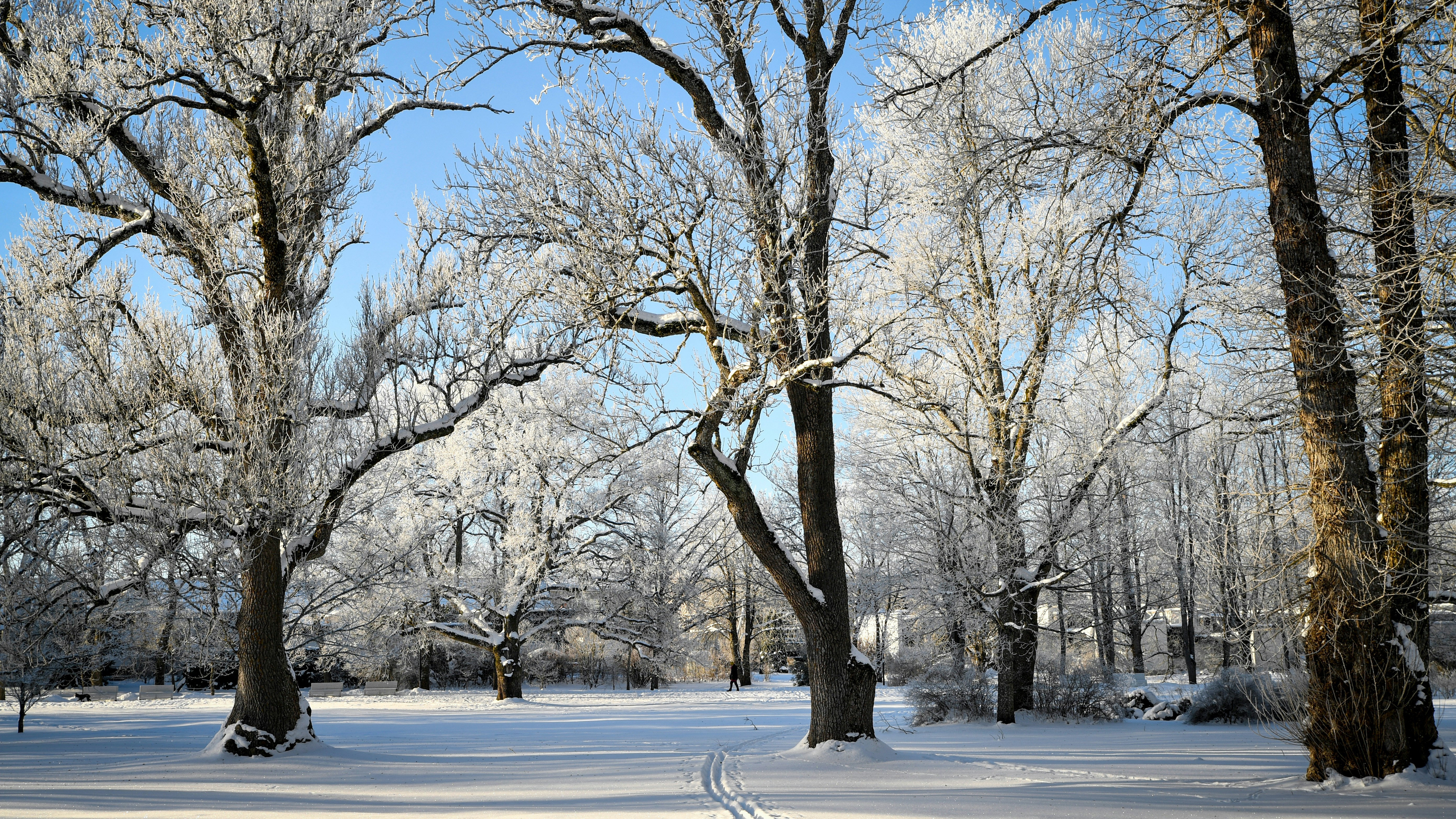 Photo by stadinstudio