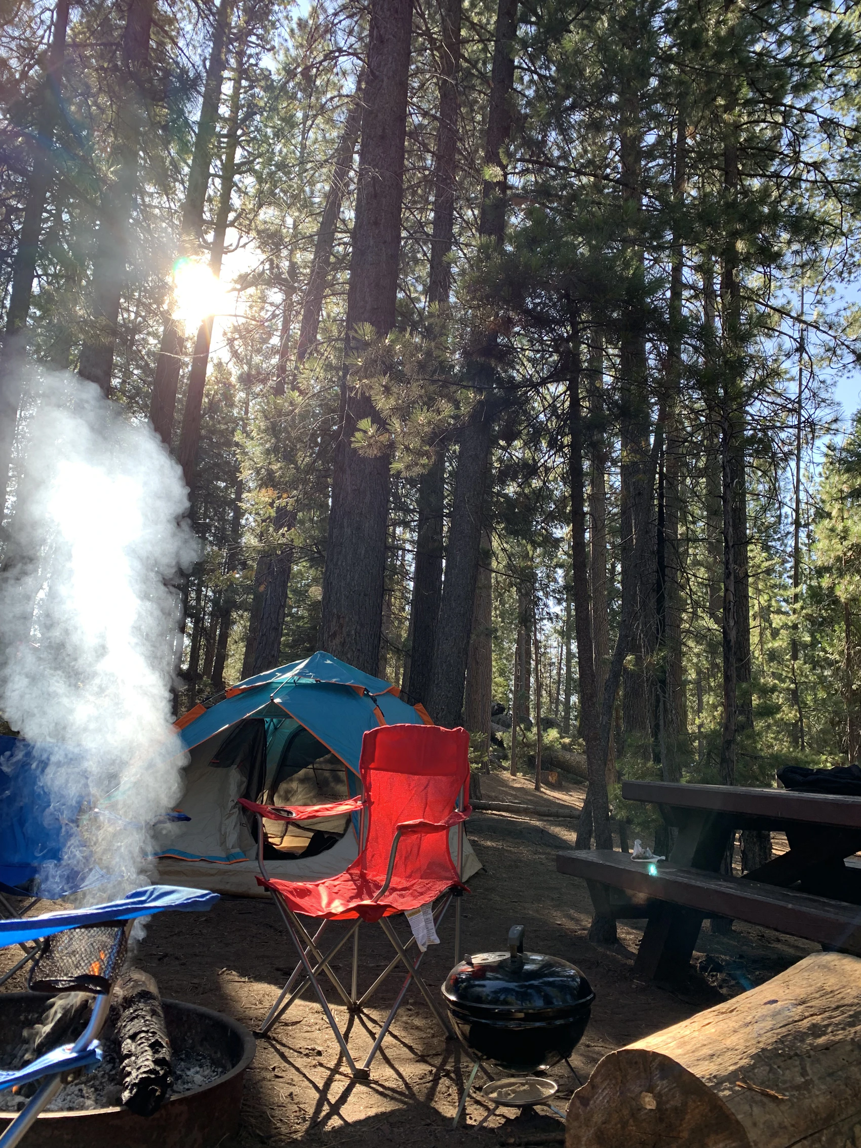 Forest campsite with tent chairs cooking equipment and campfire