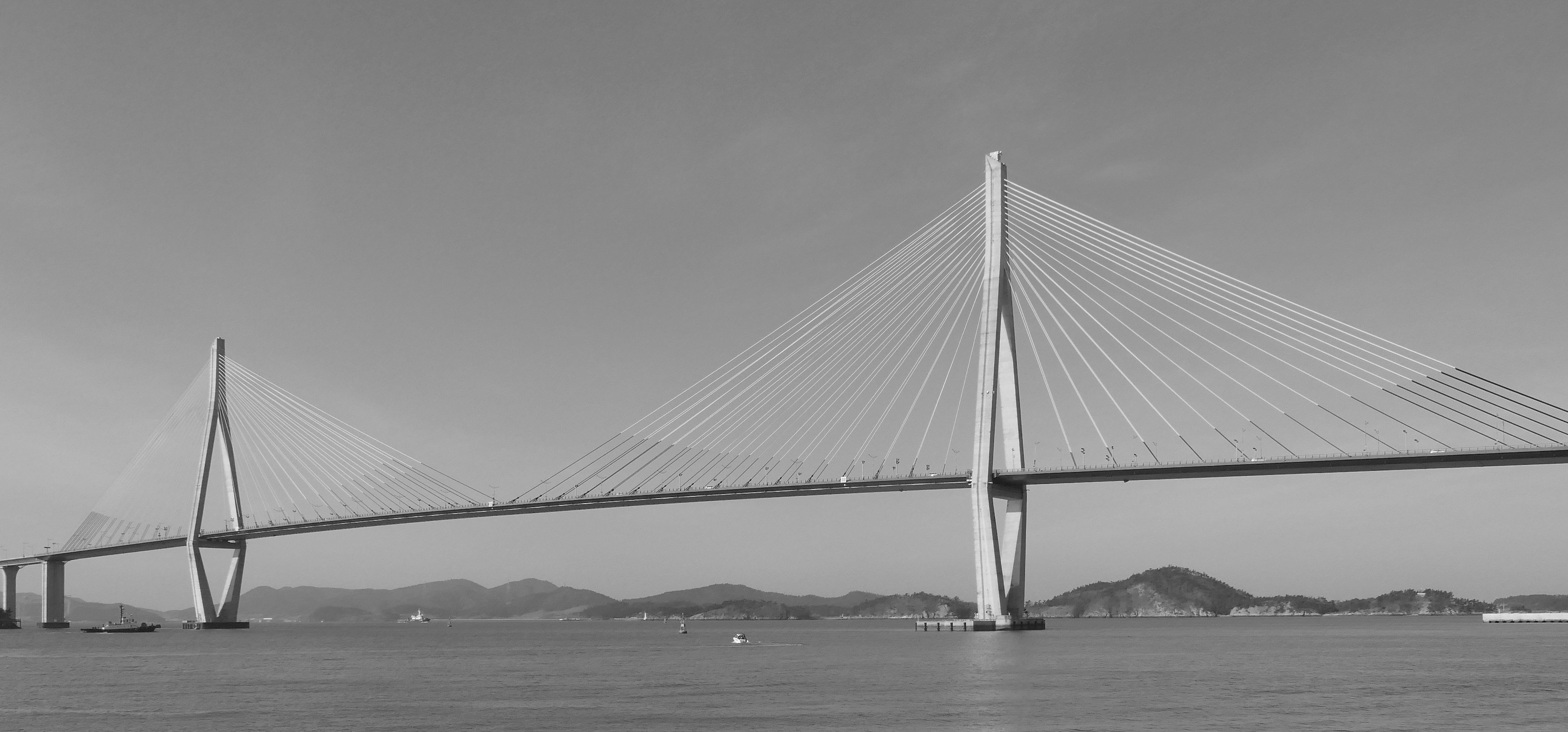 A modern cable-stayed bridge over the water.