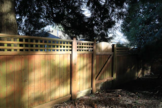 Wooden fence with a gate on a sunny day