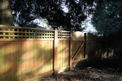 Wooden fence with a gate on a sunny day