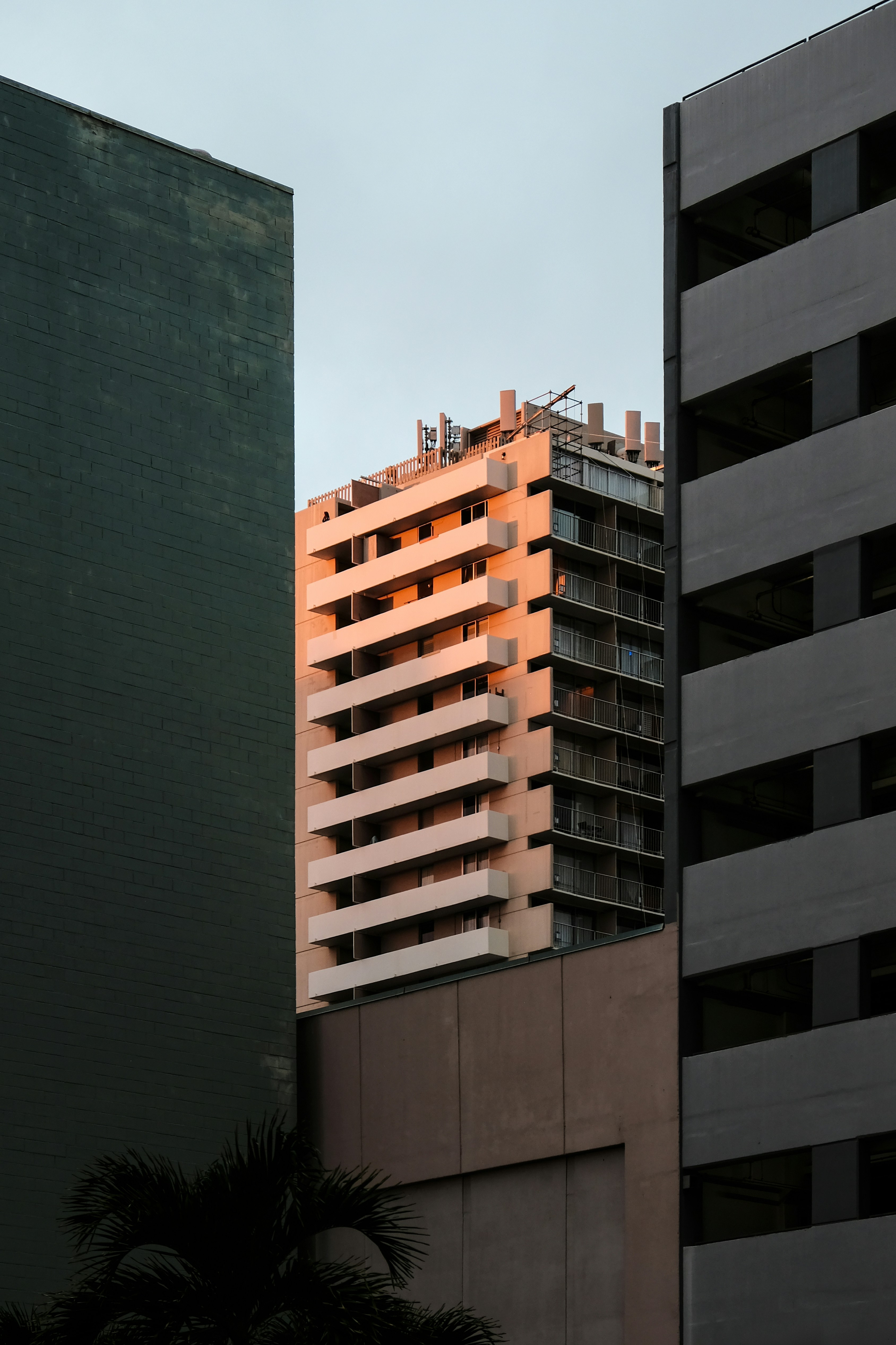 Moderne Gebäudefassade wird vom warmen Sonnenuntergangslicht erleuchtet.