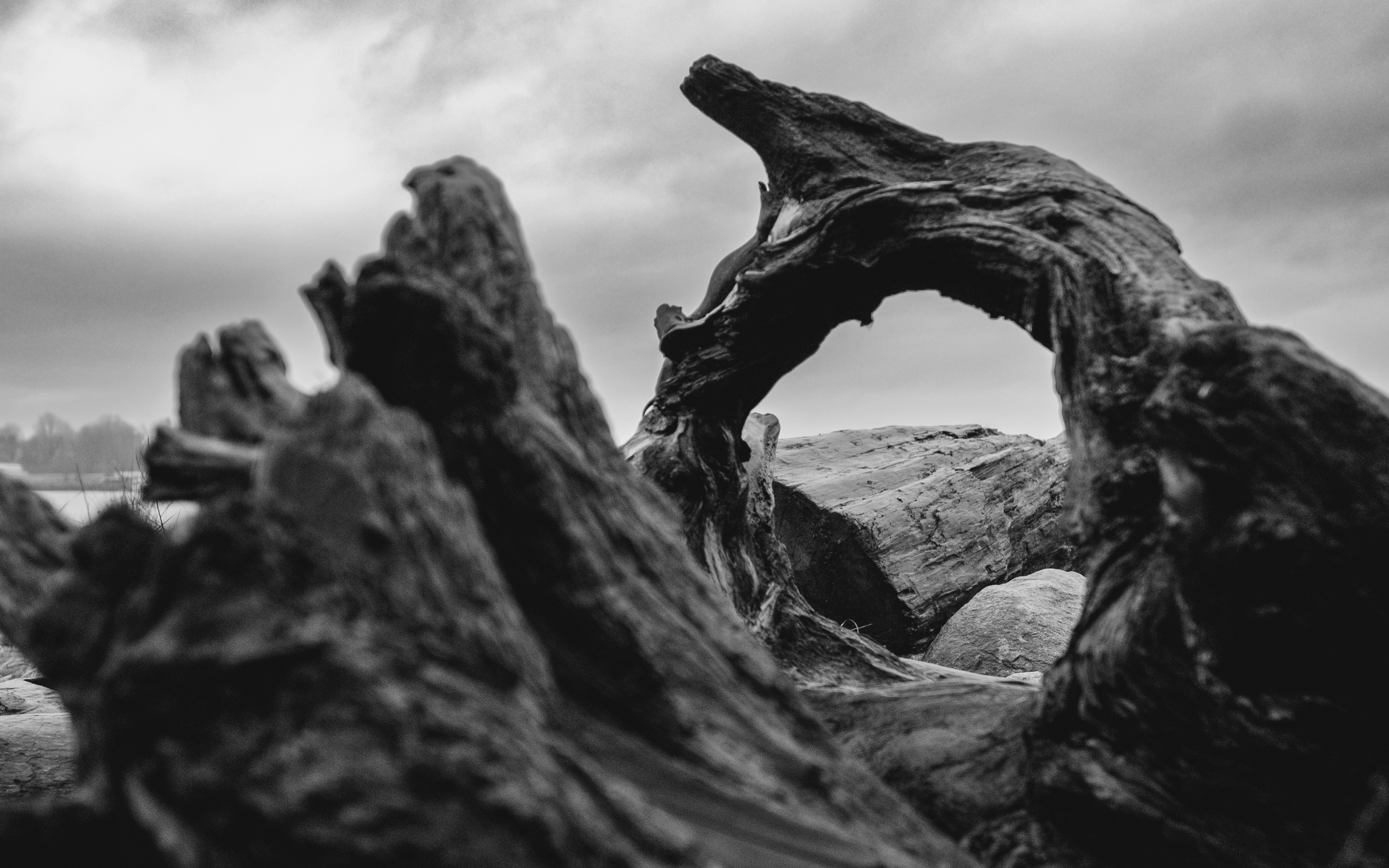 Photo by albertstoynov