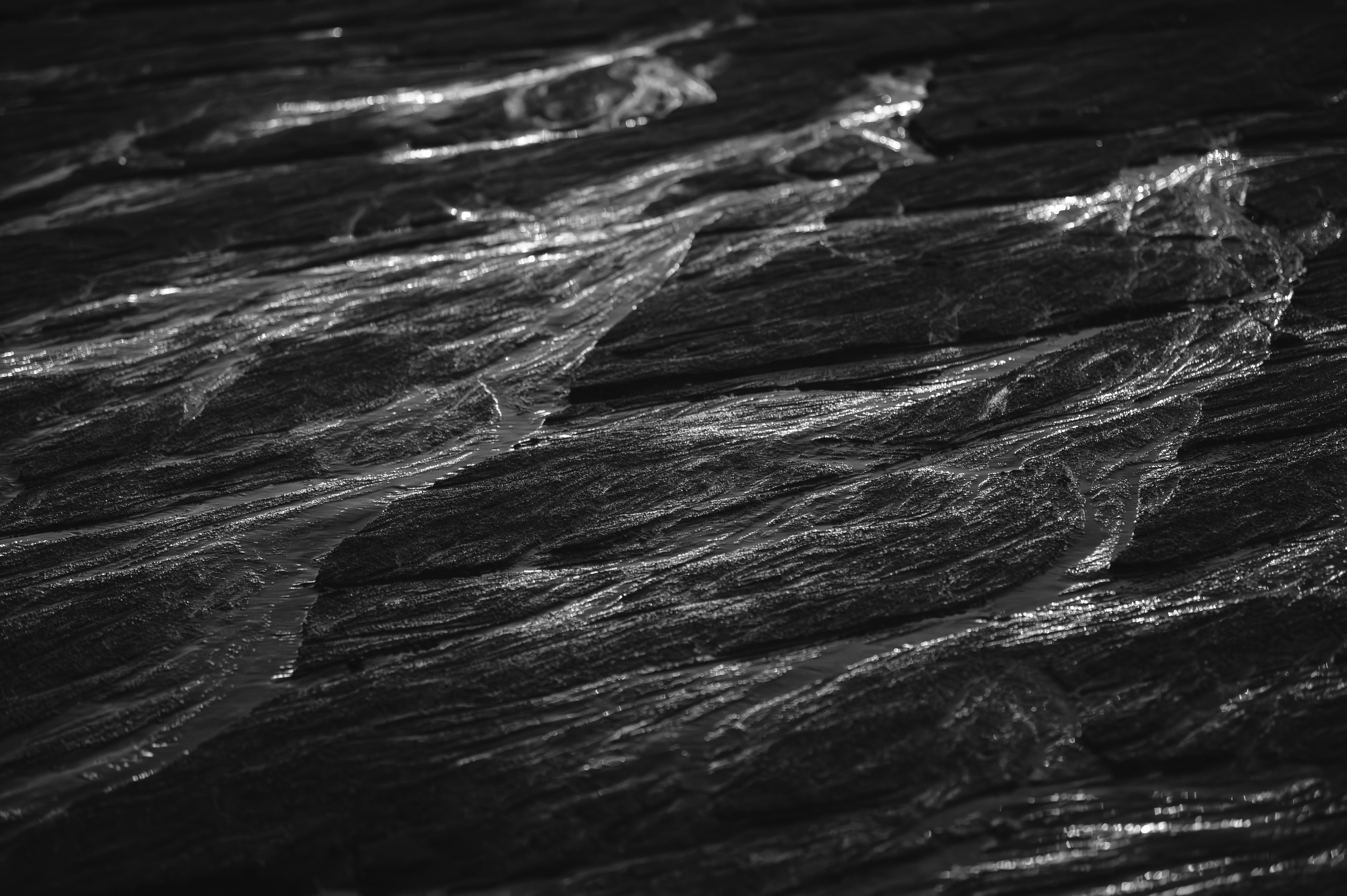 Photo by albertstoynov