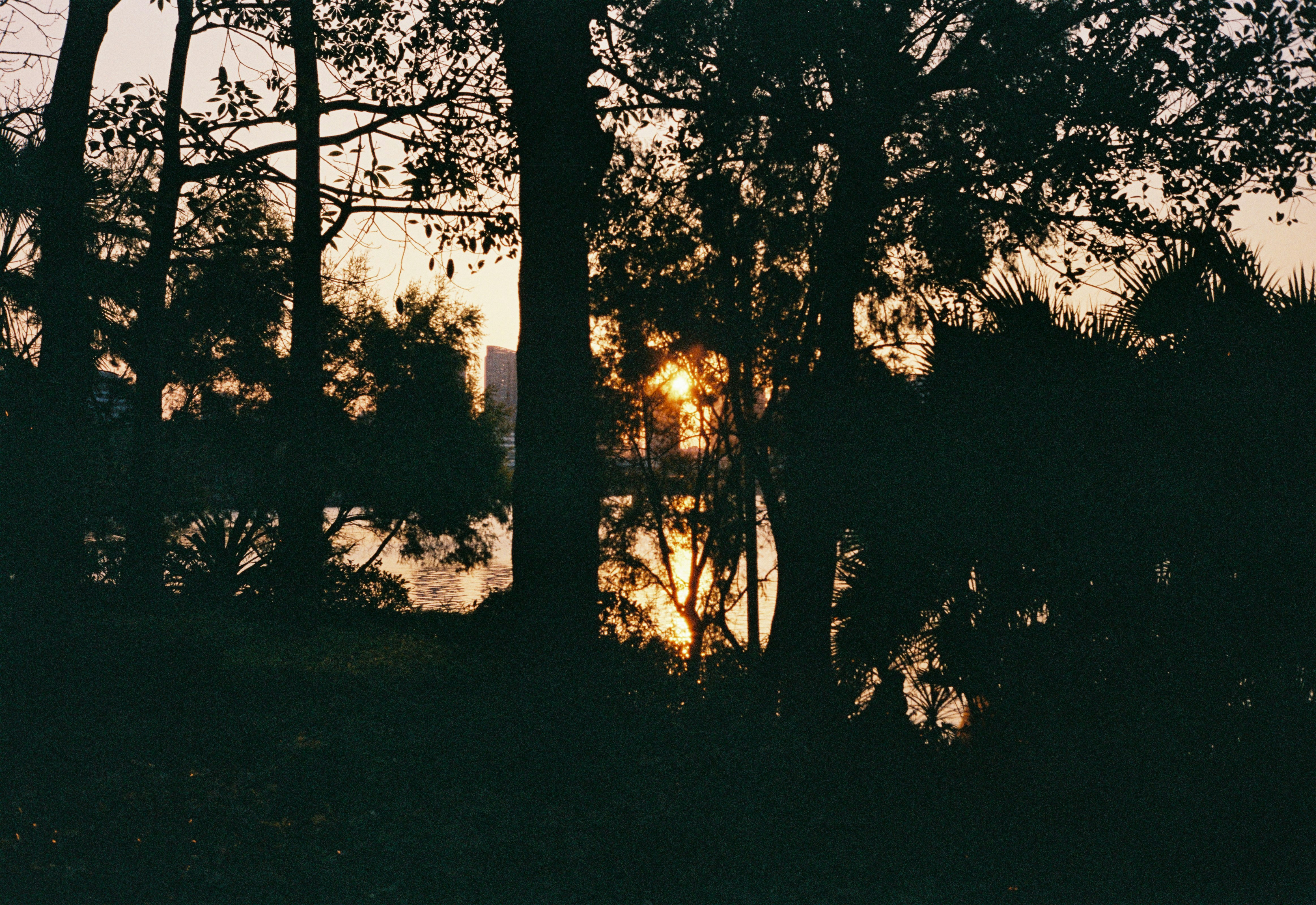 Photo by renjunn