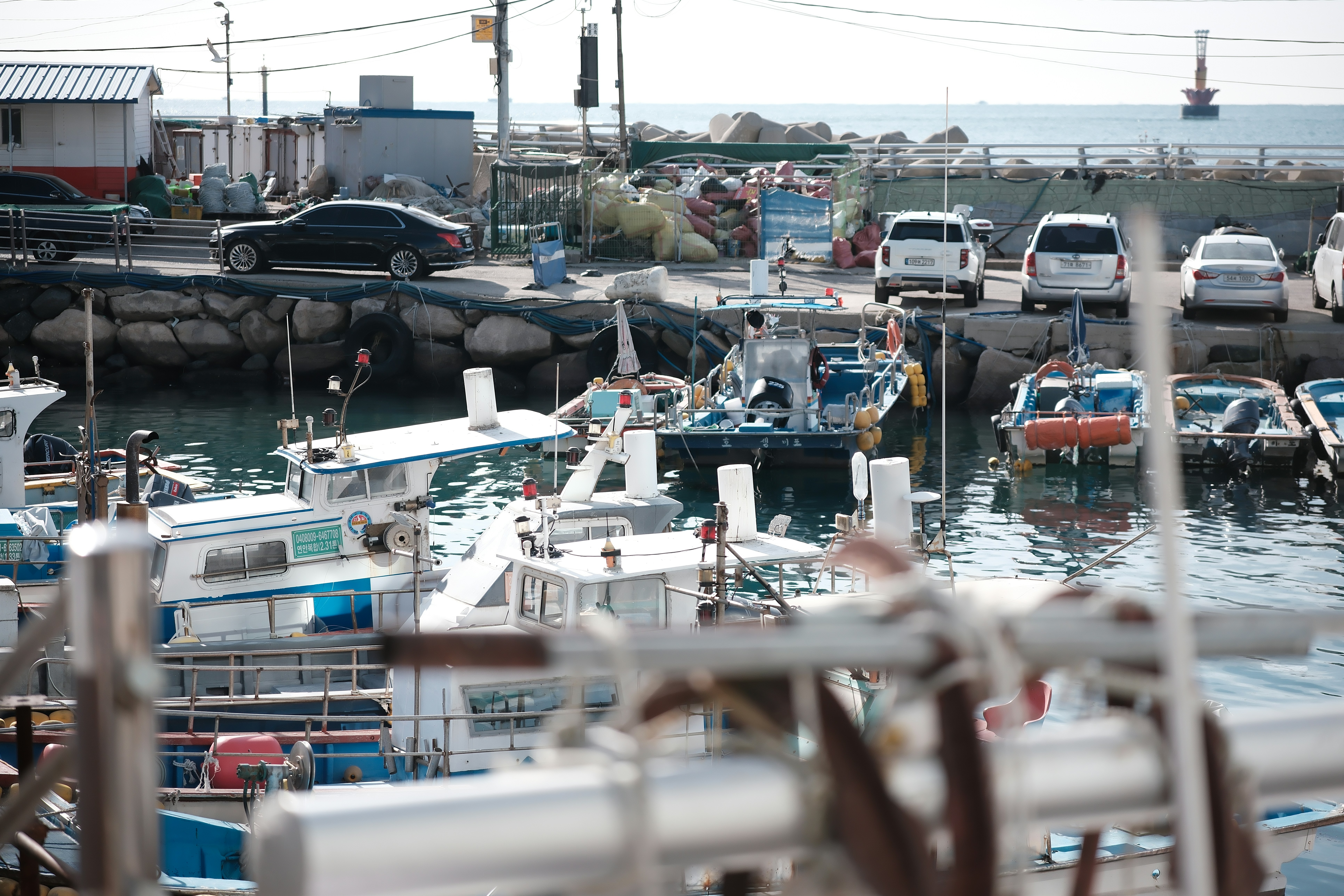 Fishing boats docked in a harbor with cars parked nearby.