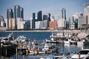 Boats docked in a harbor with a city skyline behind.