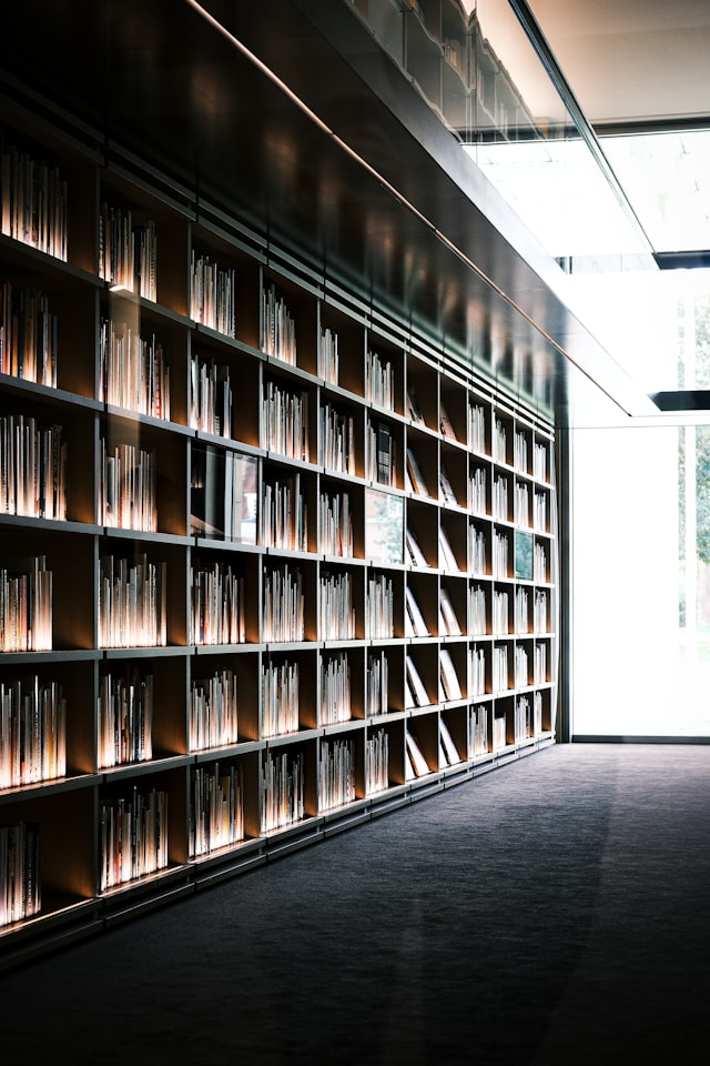 현대 미술 작품 관람