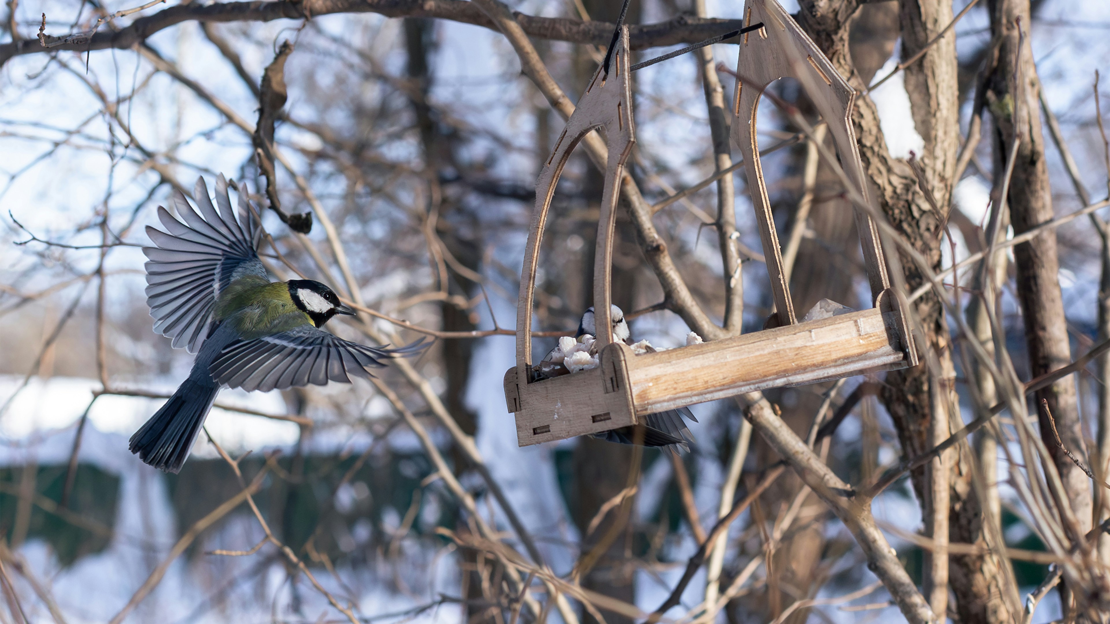 A bird flies towards a bird feeder in winter.