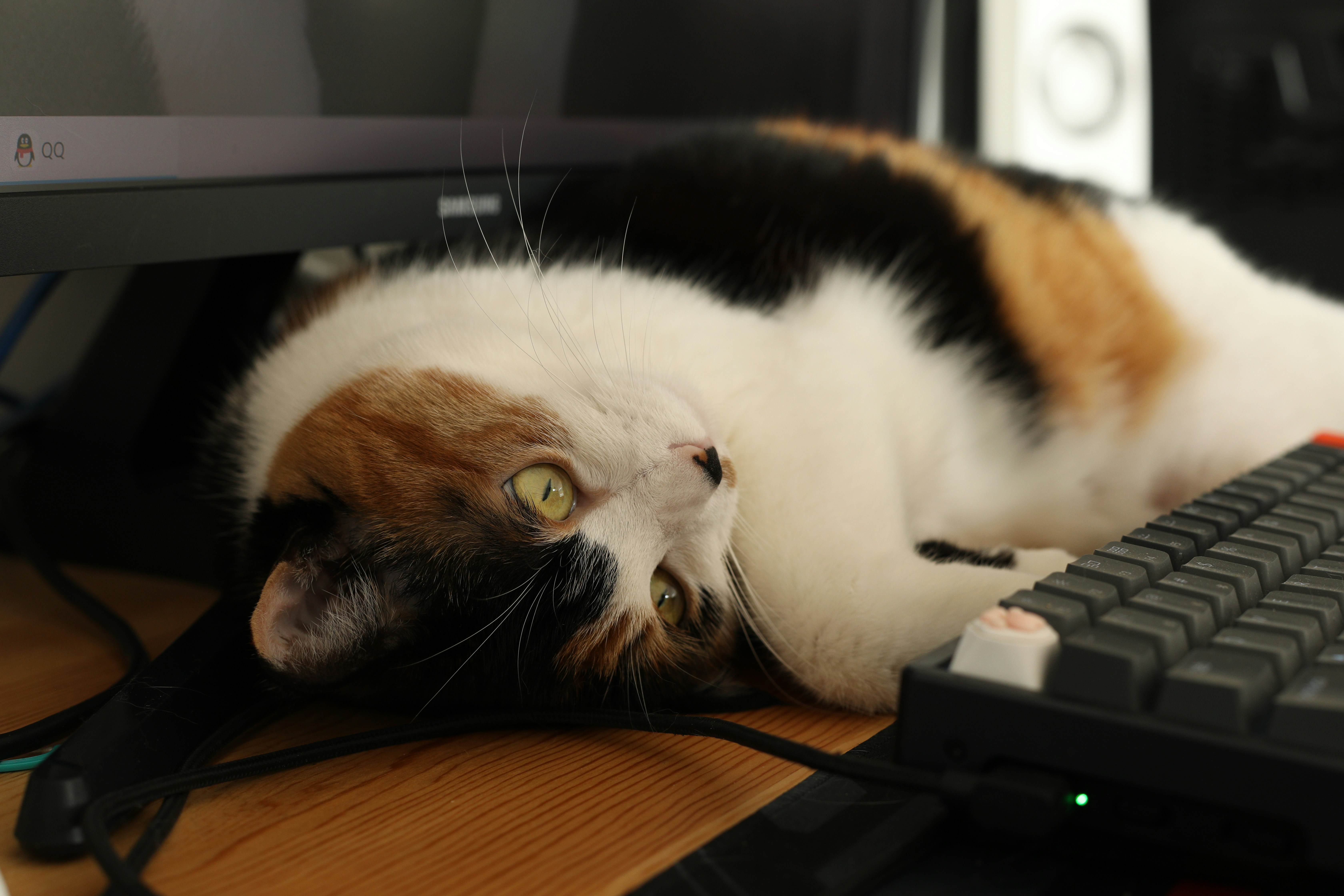 L'automatisation de la vérification des erreurs avec l'IA