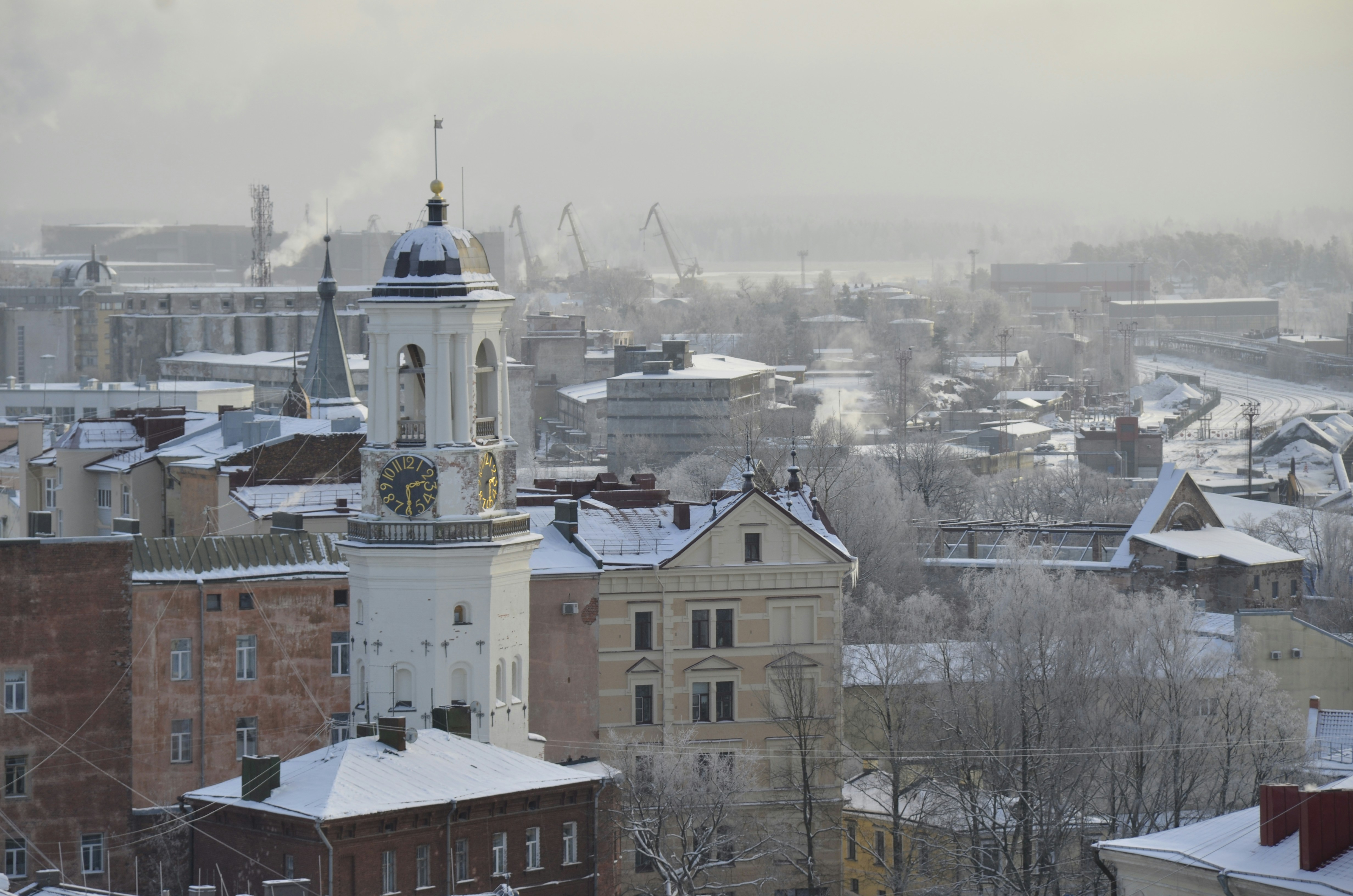 Photo by vaclav_1986