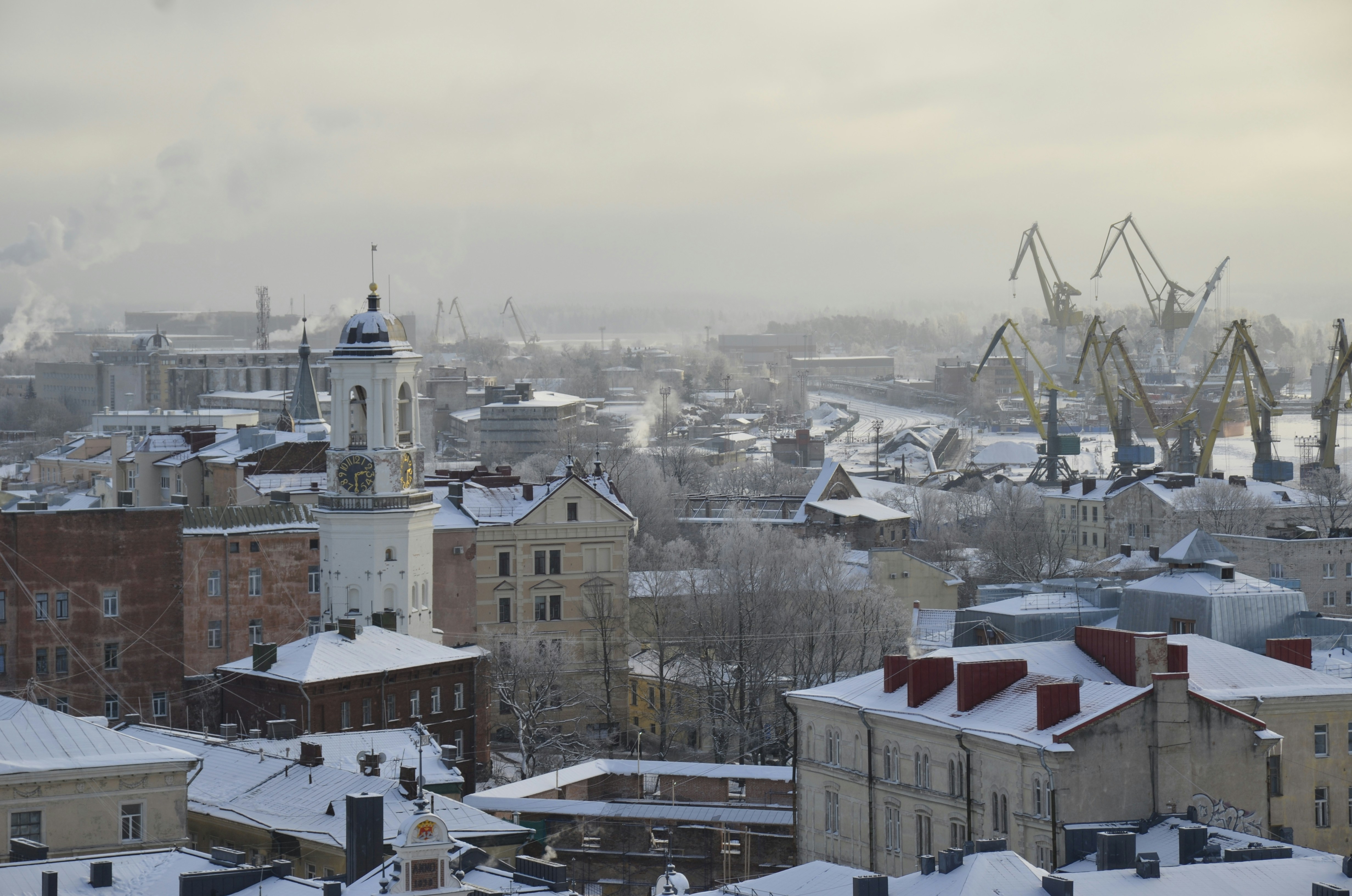 Photo by vaclav_1986