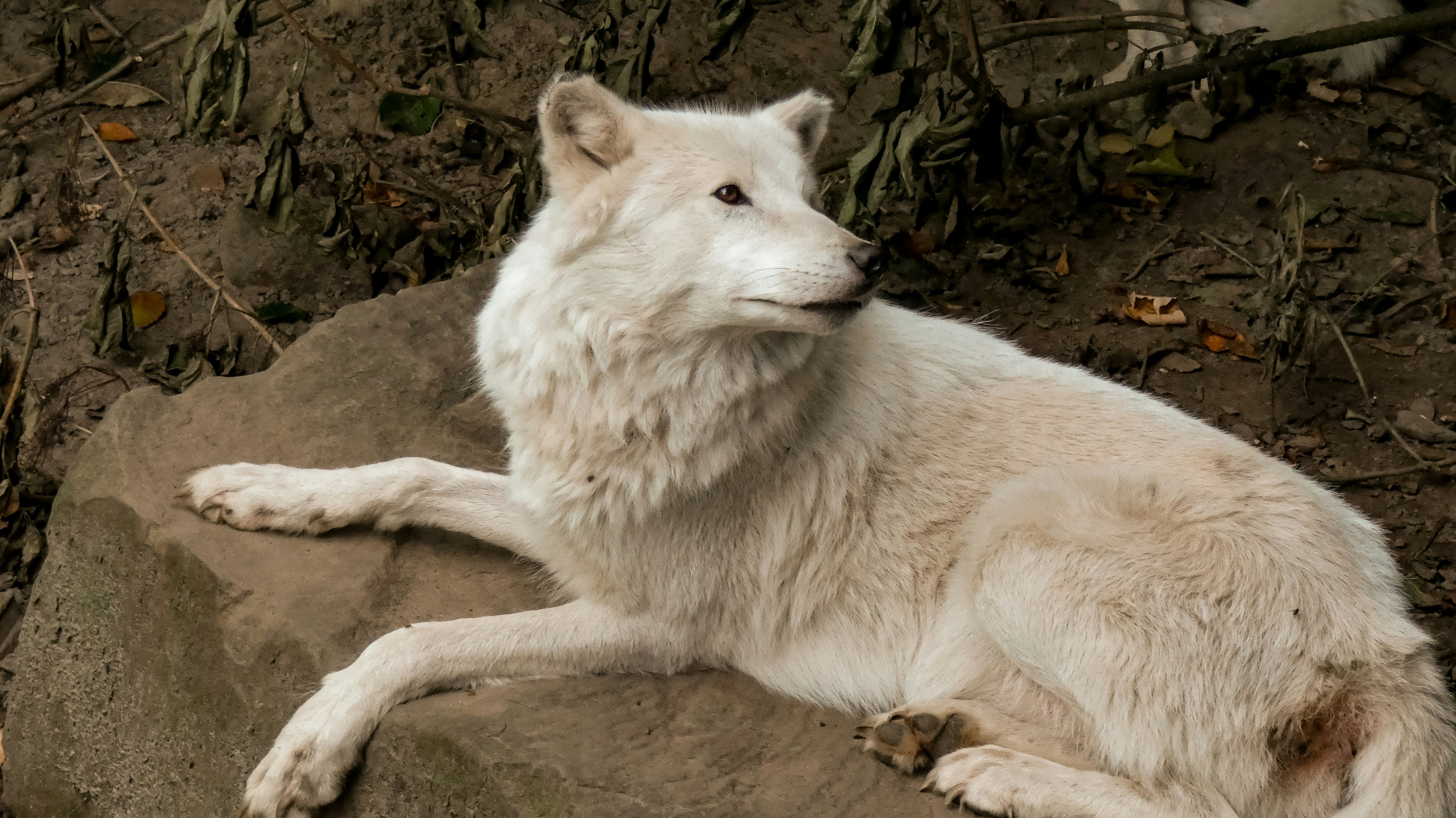 Photo by animagraphy