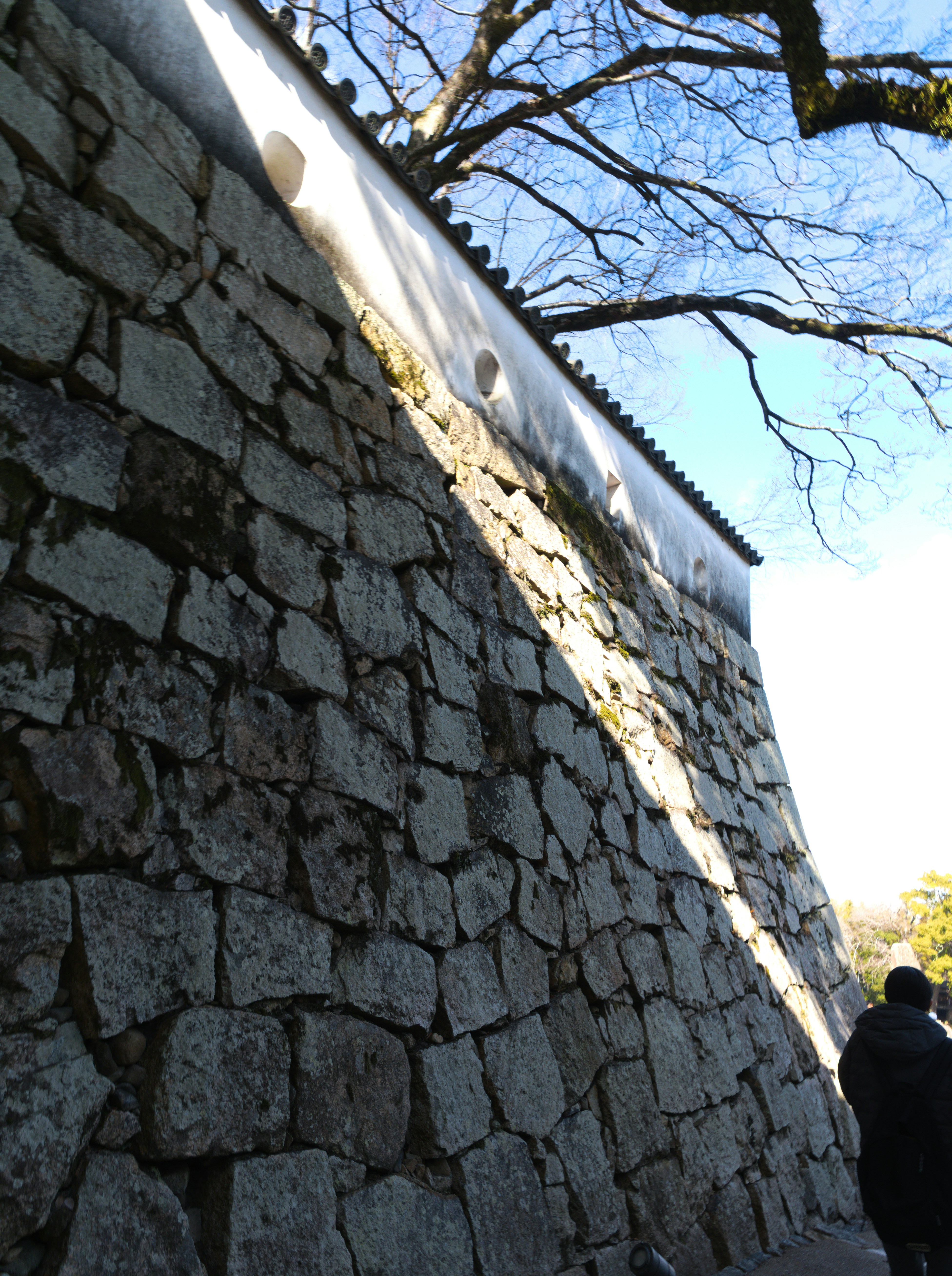 Ancient stone wall with tree branches against blue sky