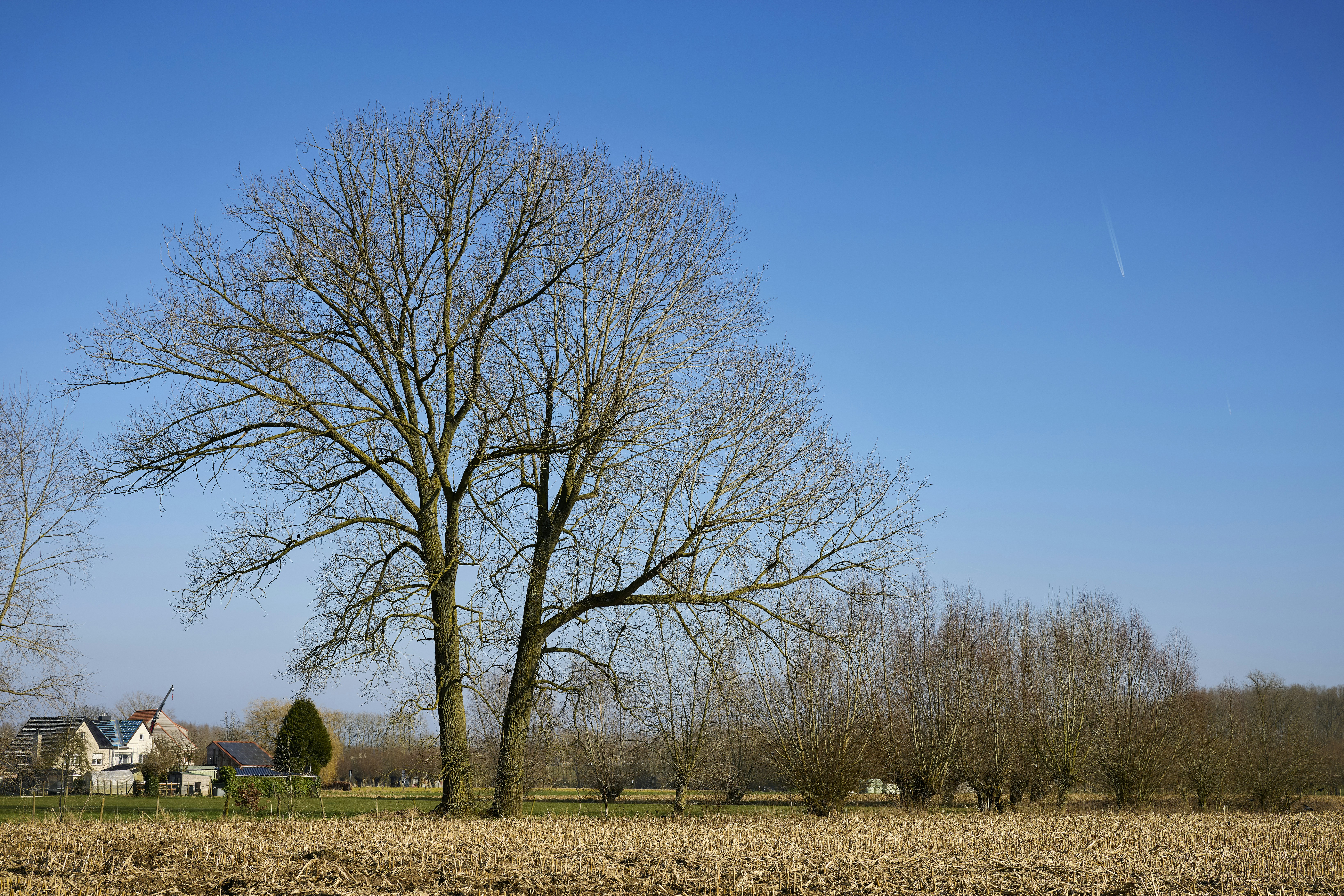 Photo by erwinbosman