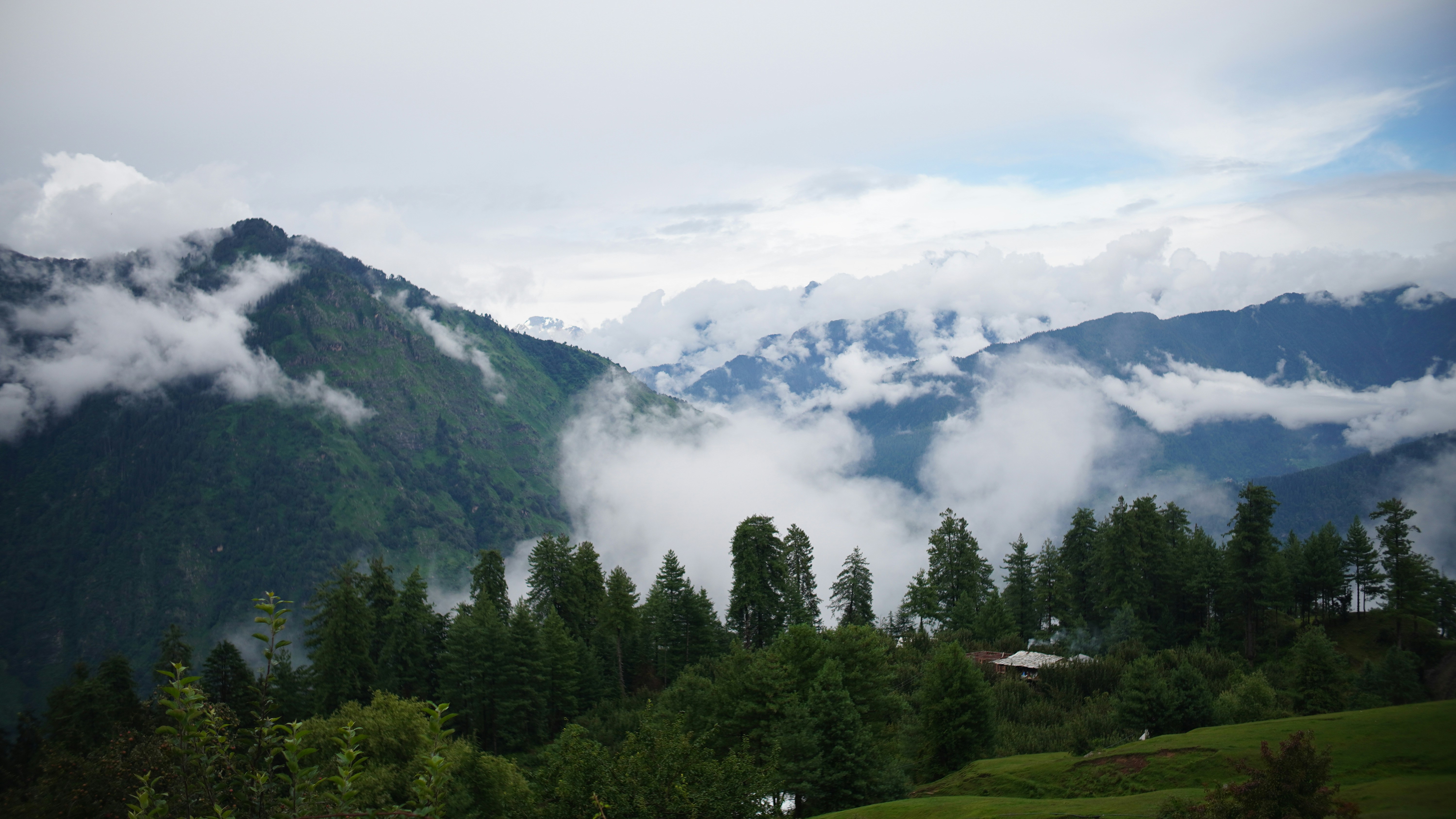 Photo by abstractfeeder