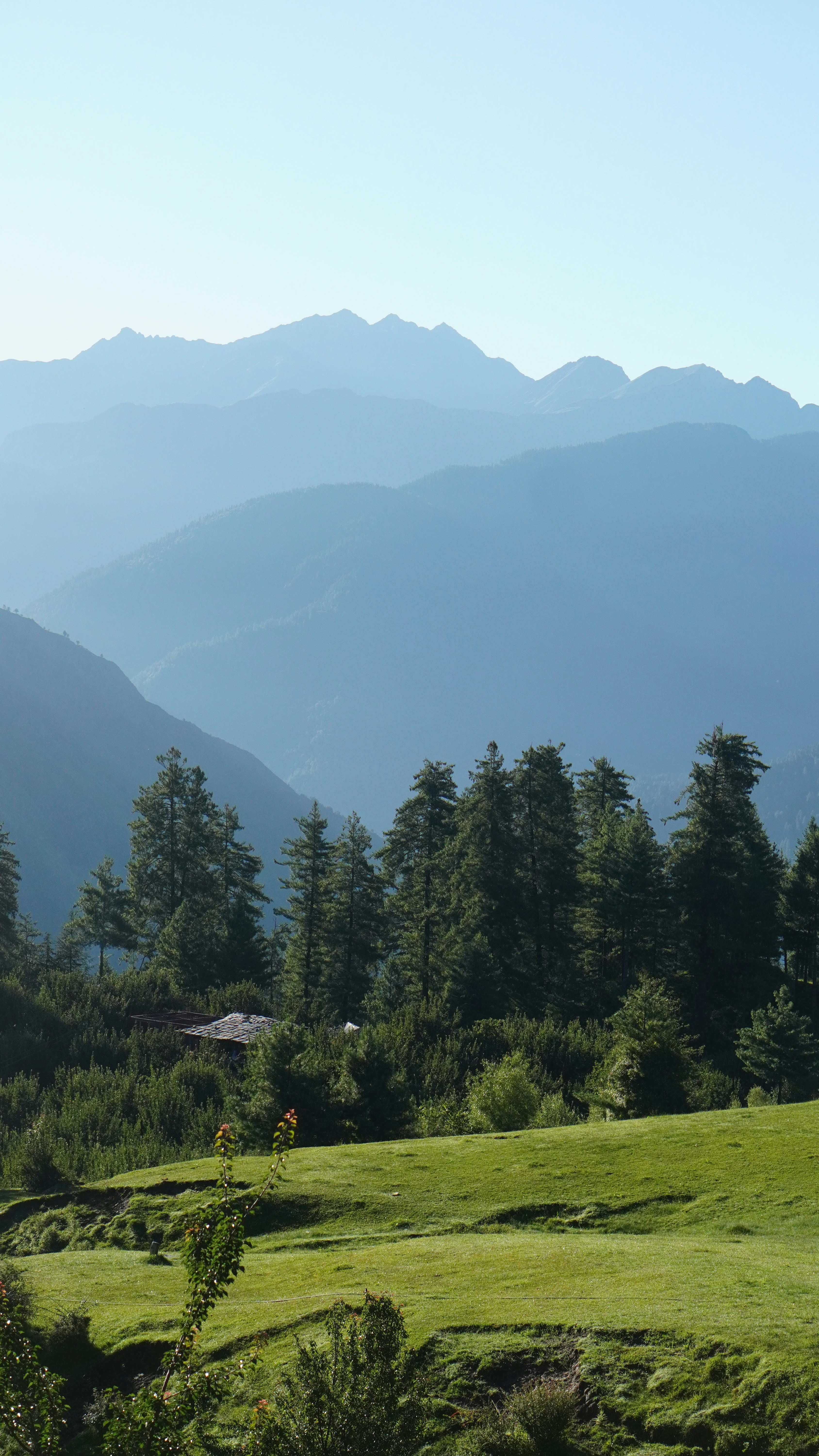 Photo by abstractfeeder