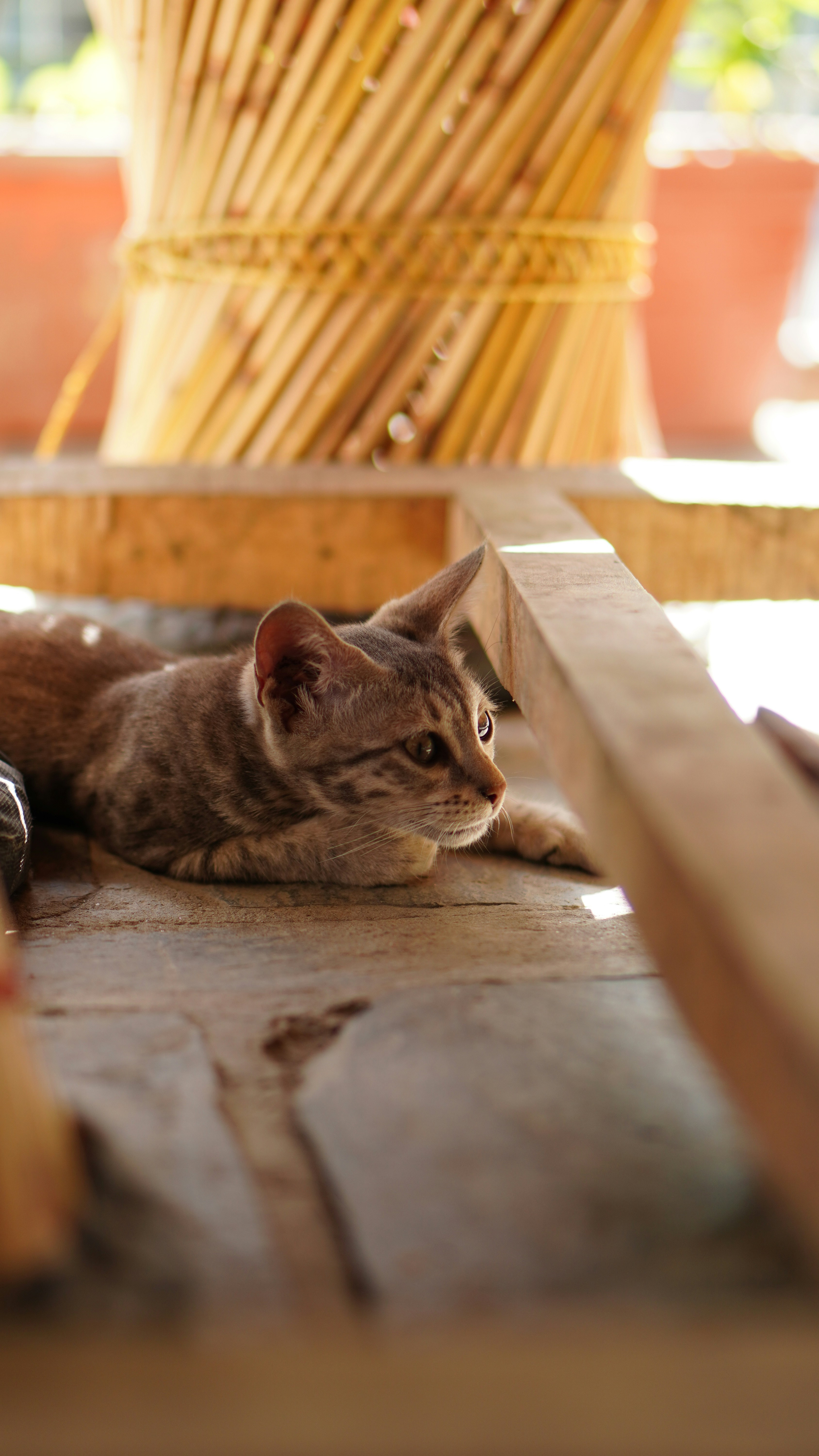 Photo by abstractfeeder