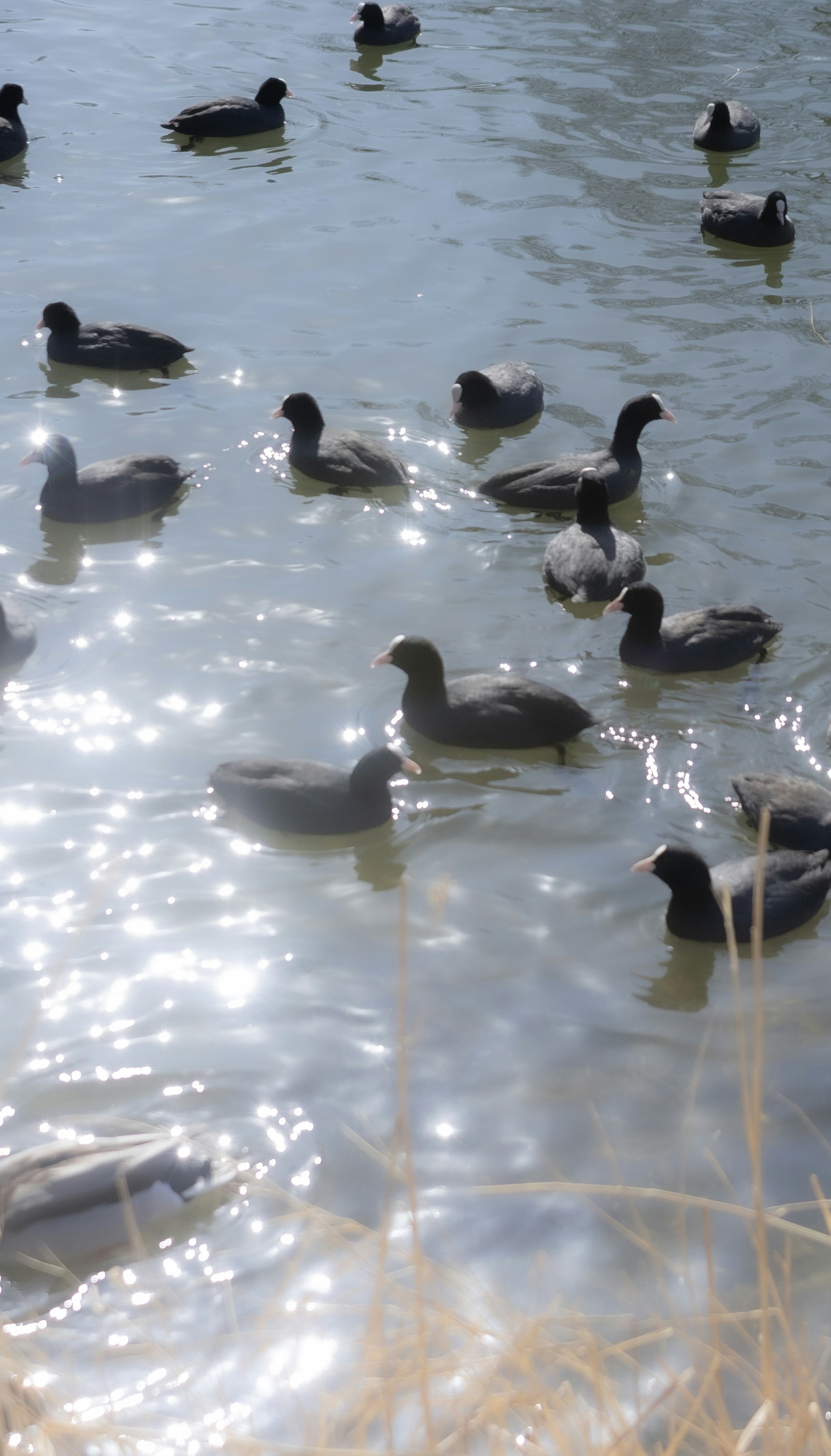 Photo by wu_hua_jiang