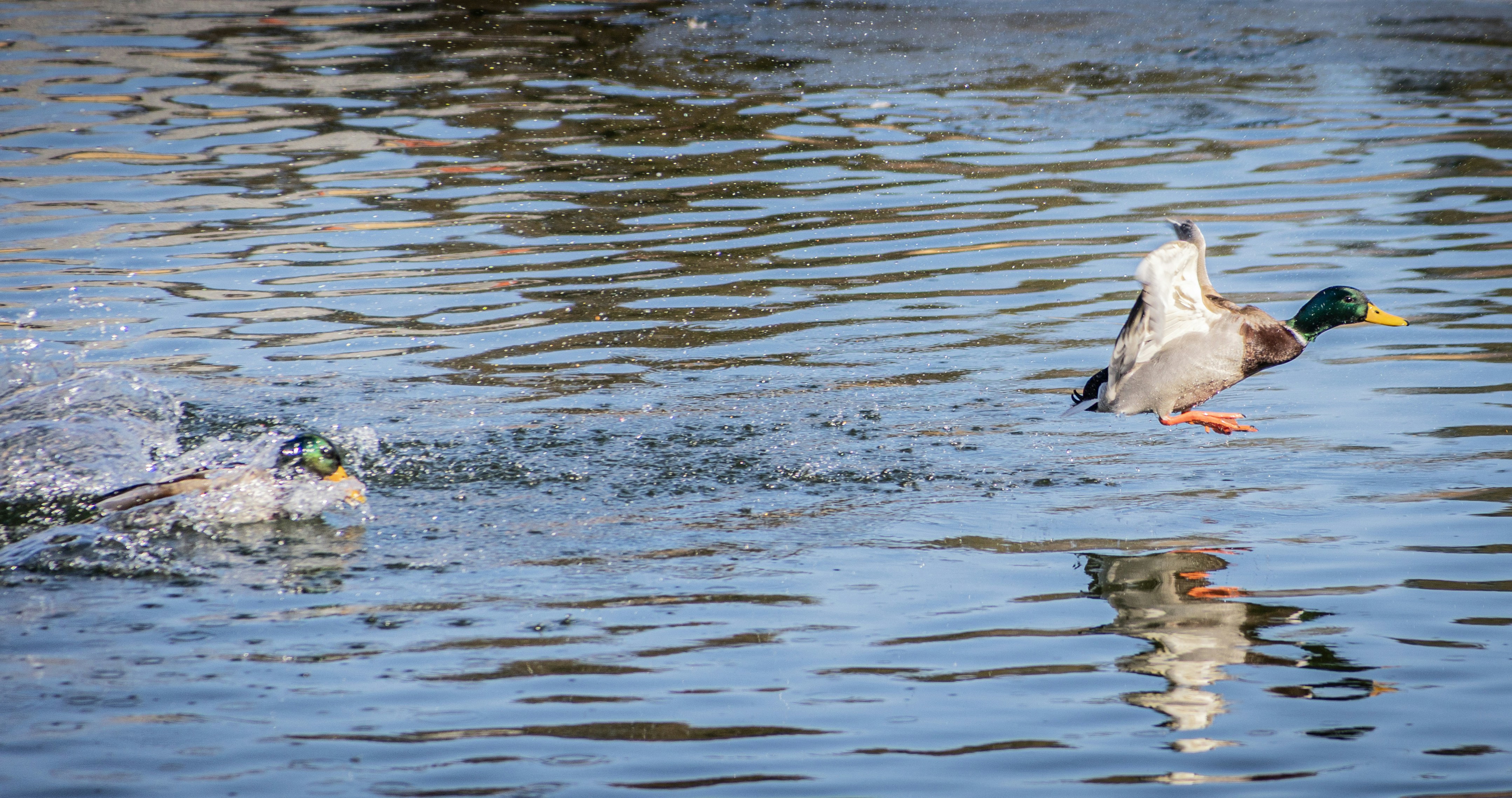 Photo by wu_hua_jiang